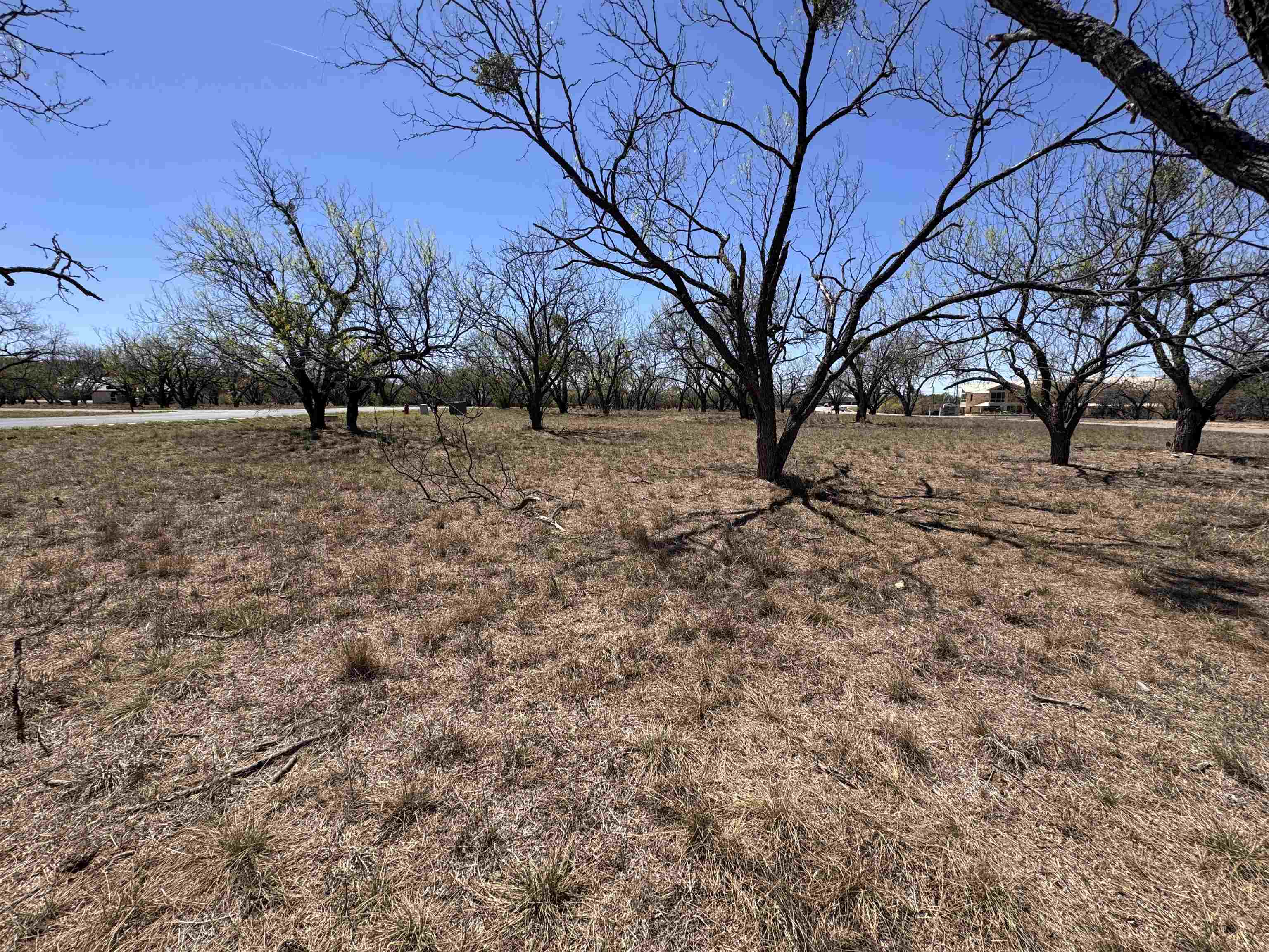 Lt 23004 Far West Property Photo 8