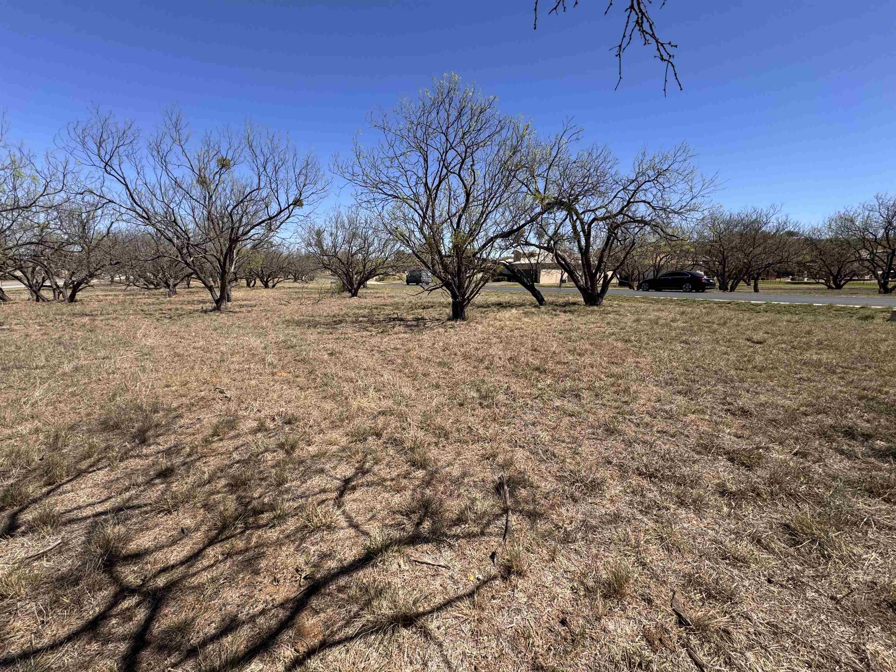 Lt 23004 Far West Property Photo 13