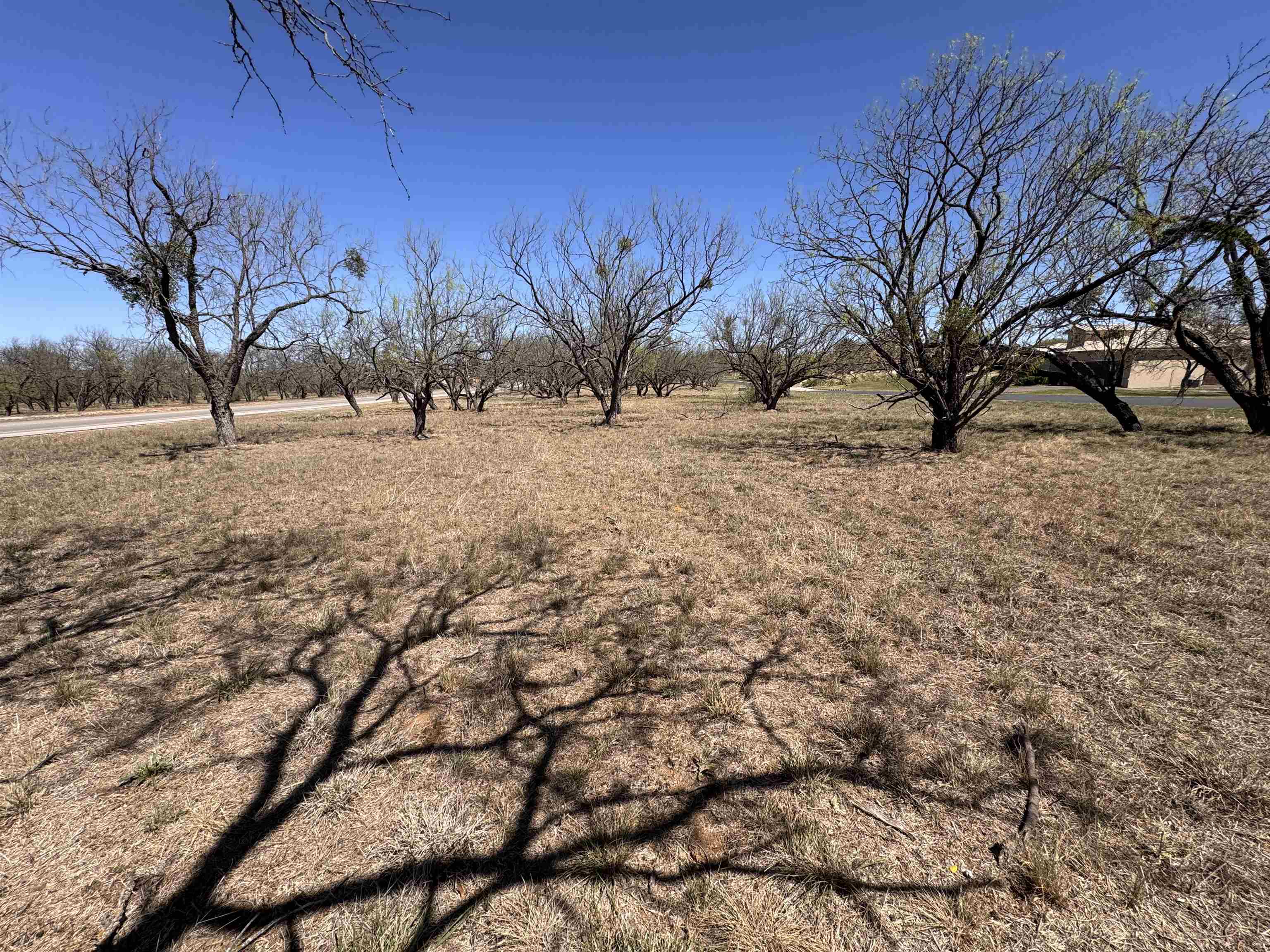 Lt 23004 Far West Property Photo 14