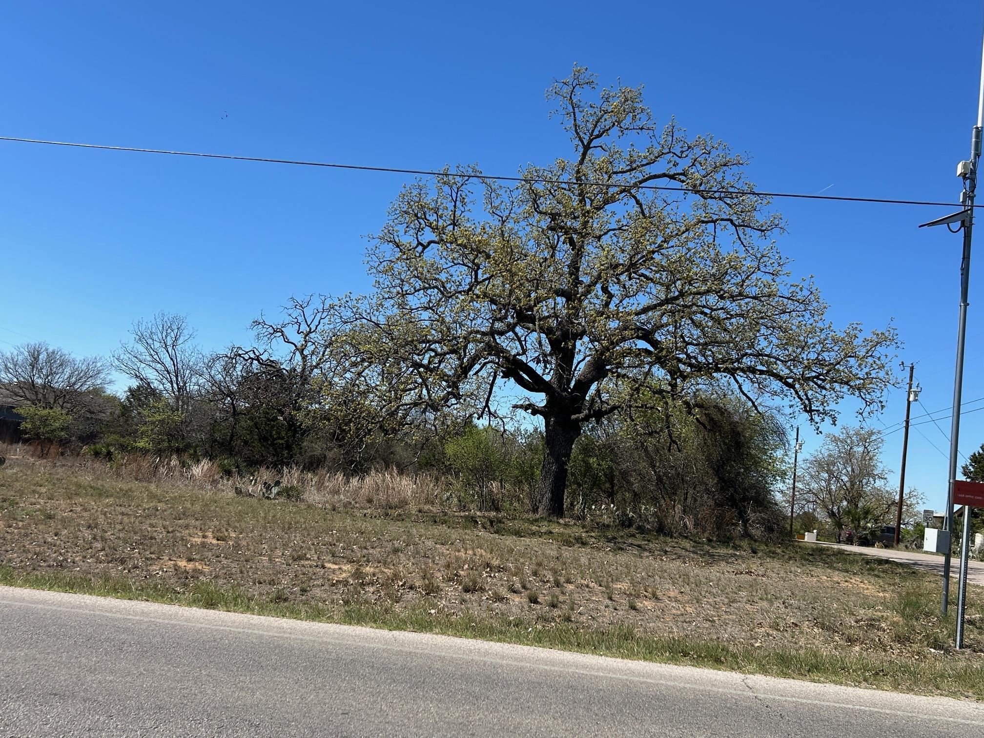 0 Phillips Ranch Rd Property Photo 3