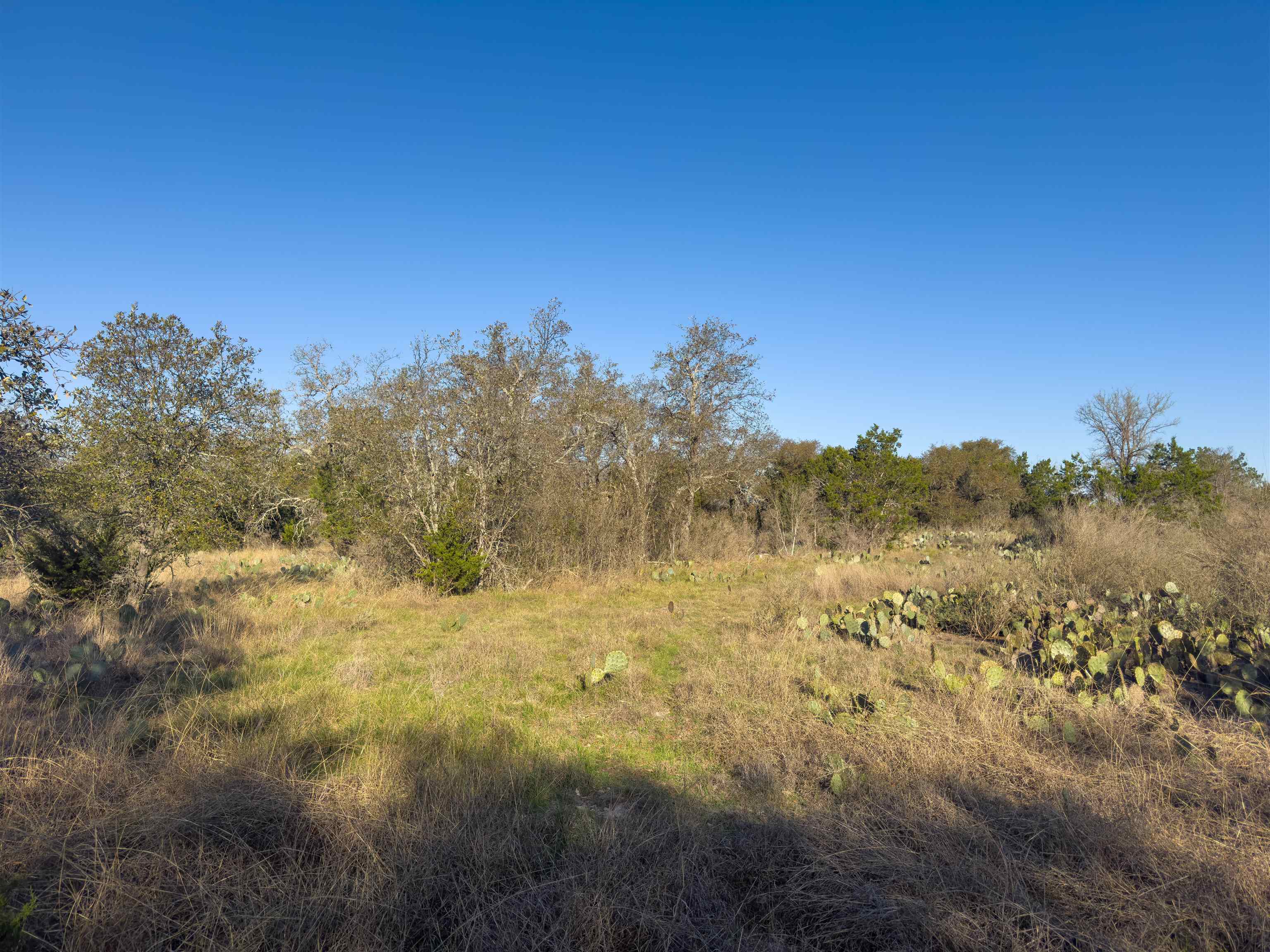 Lot 196 Marble Falls Court Property Photo 8