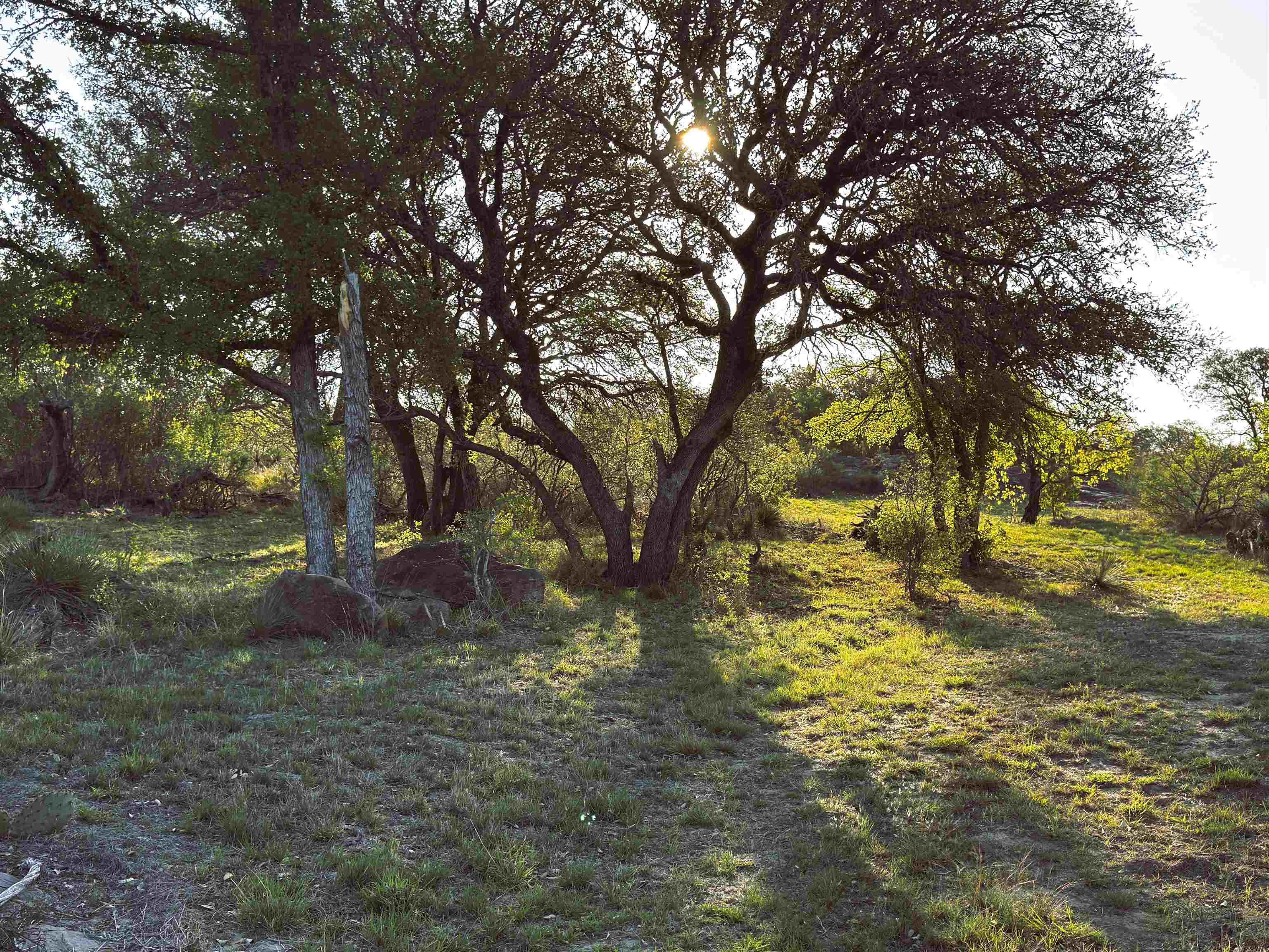 4064 County Road 104 Property Photo 5
