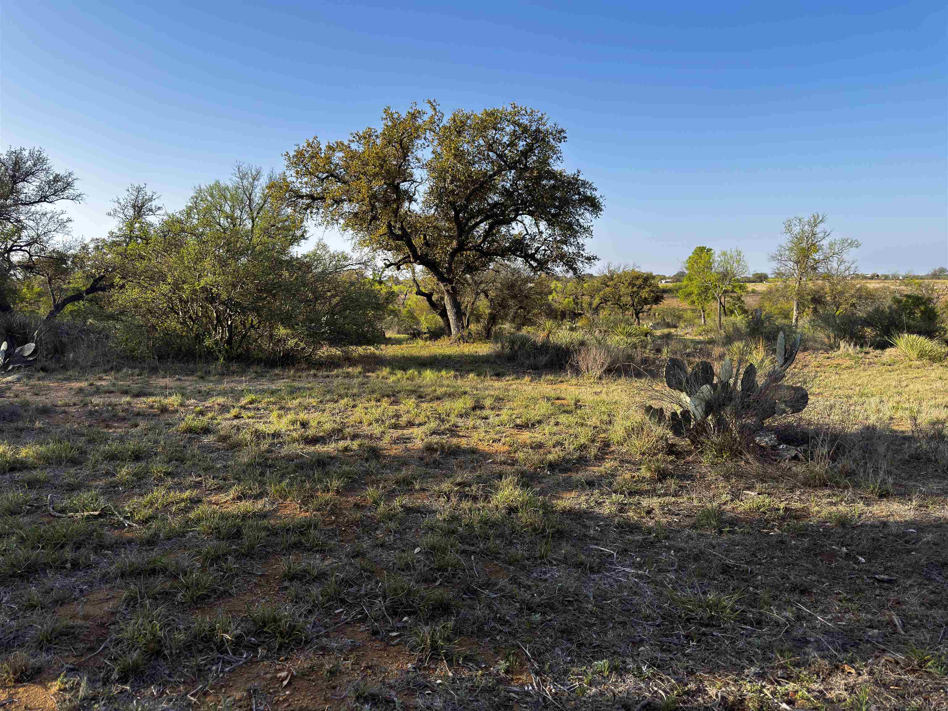 4064 County Road 104 Property Photo 11