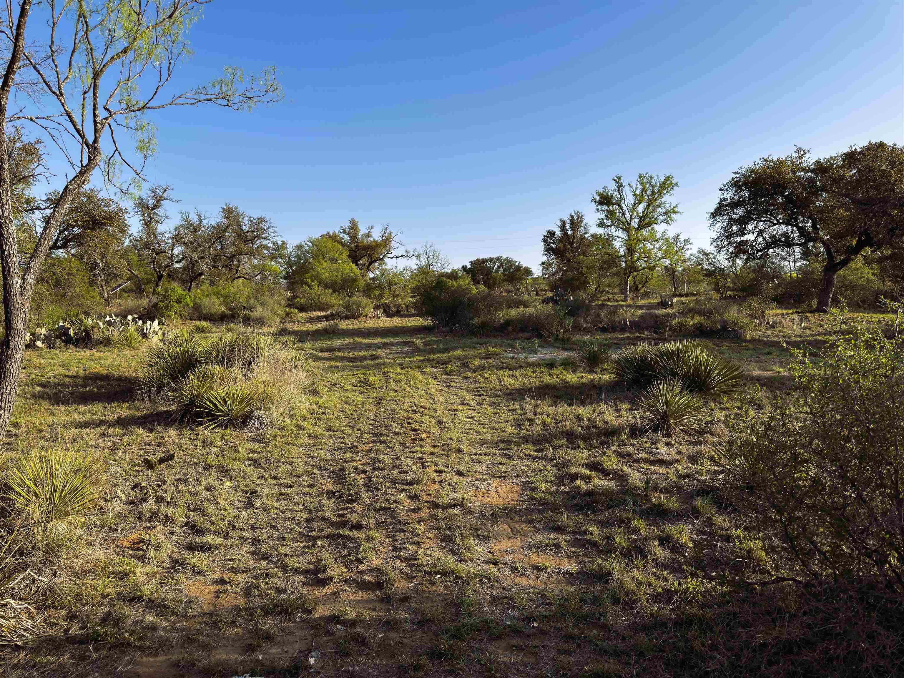 4064 County Road 104 Property Photo 13