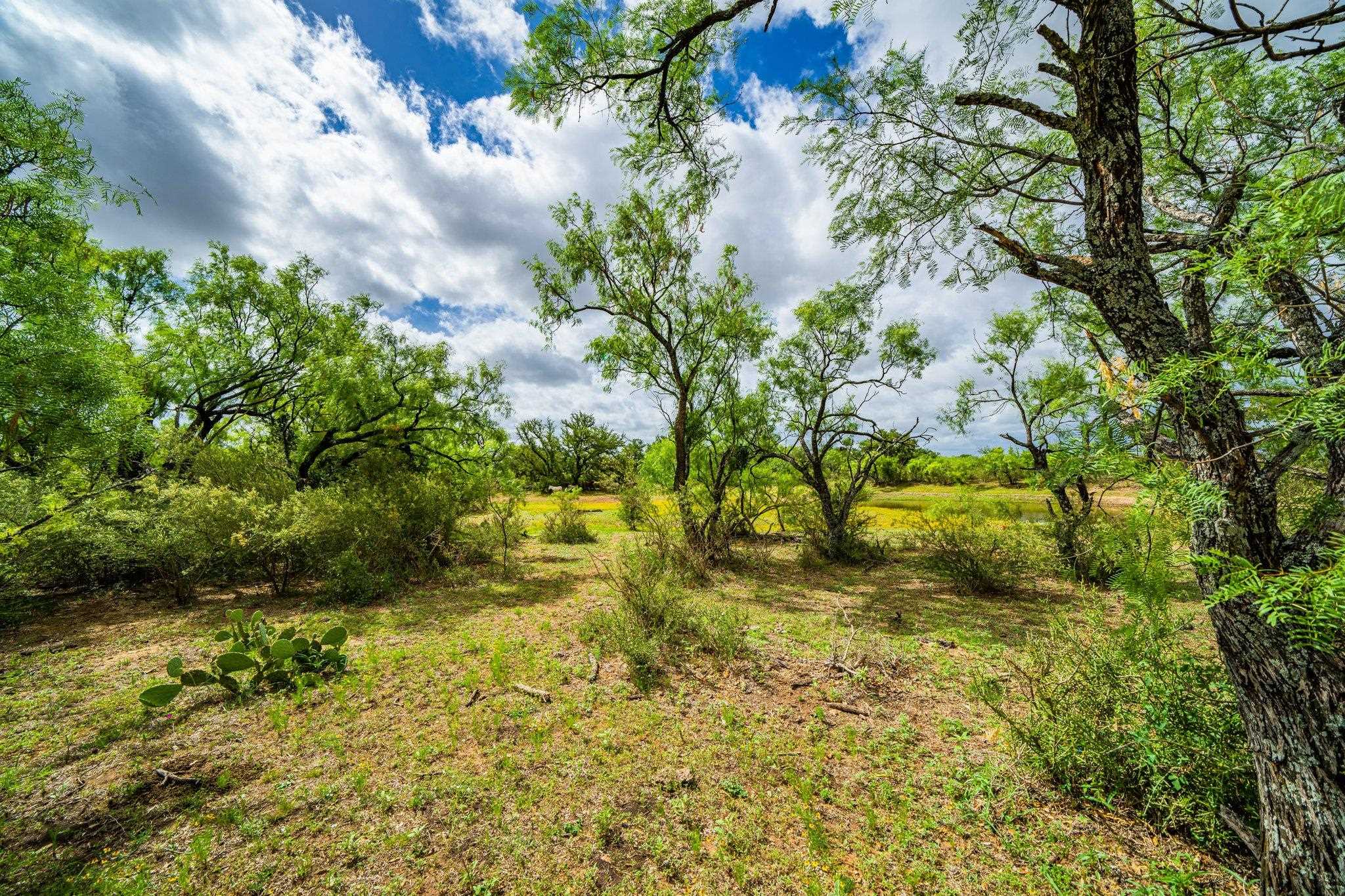 8475 W 29 Highway Property Photo 11