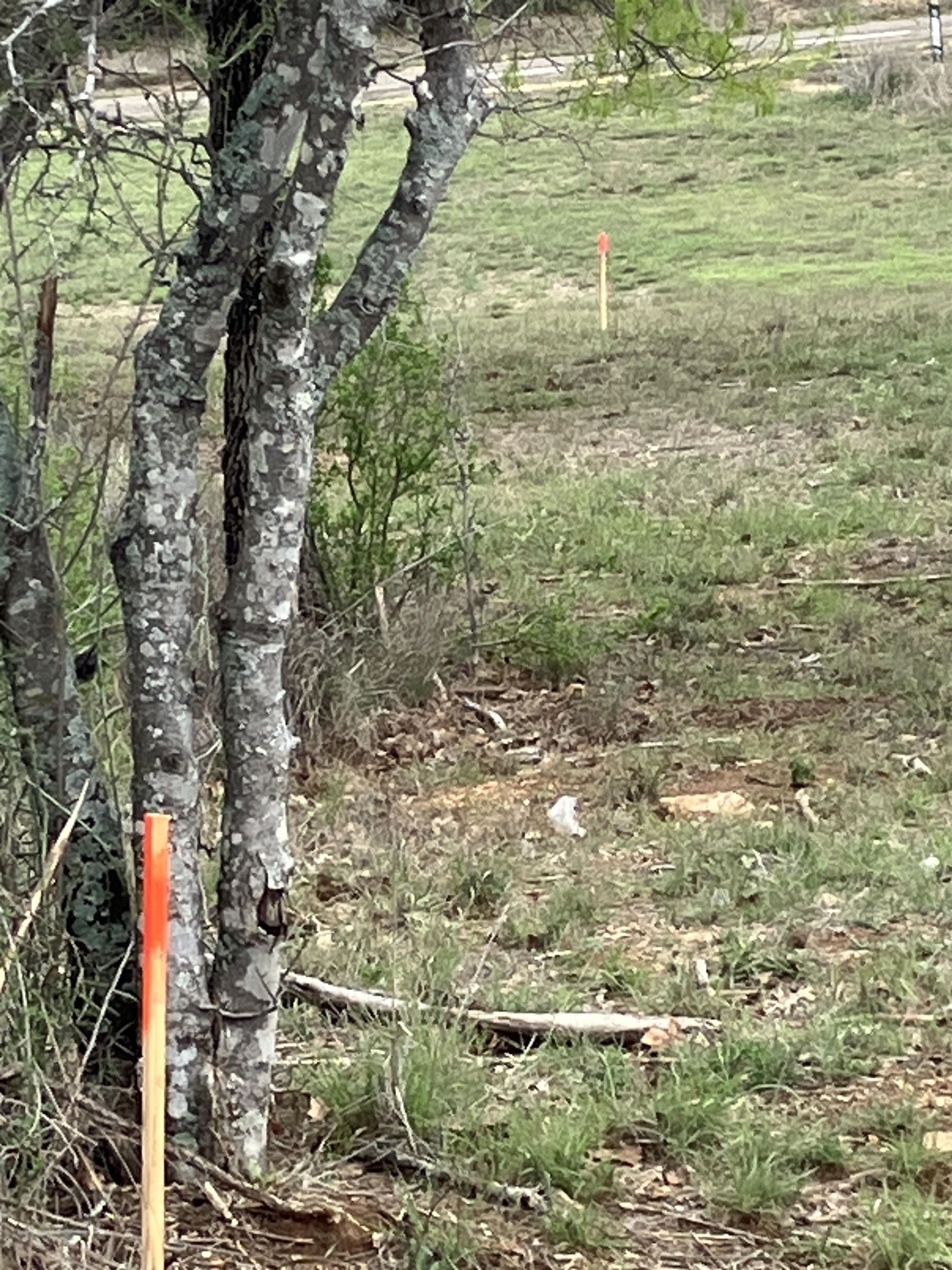 Lot 333b Aspen Property Photo 2