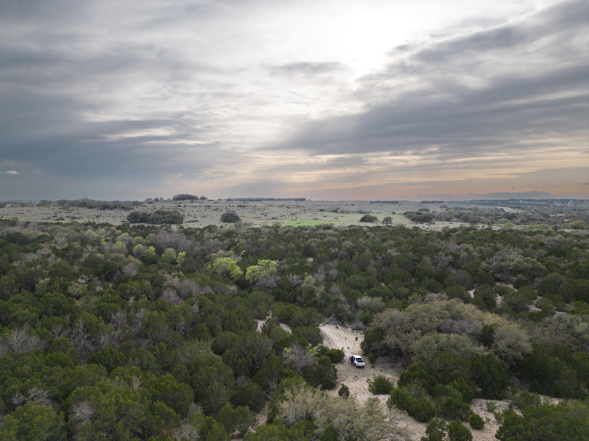 50.44 Acres County Road 3100 Property Photo 6