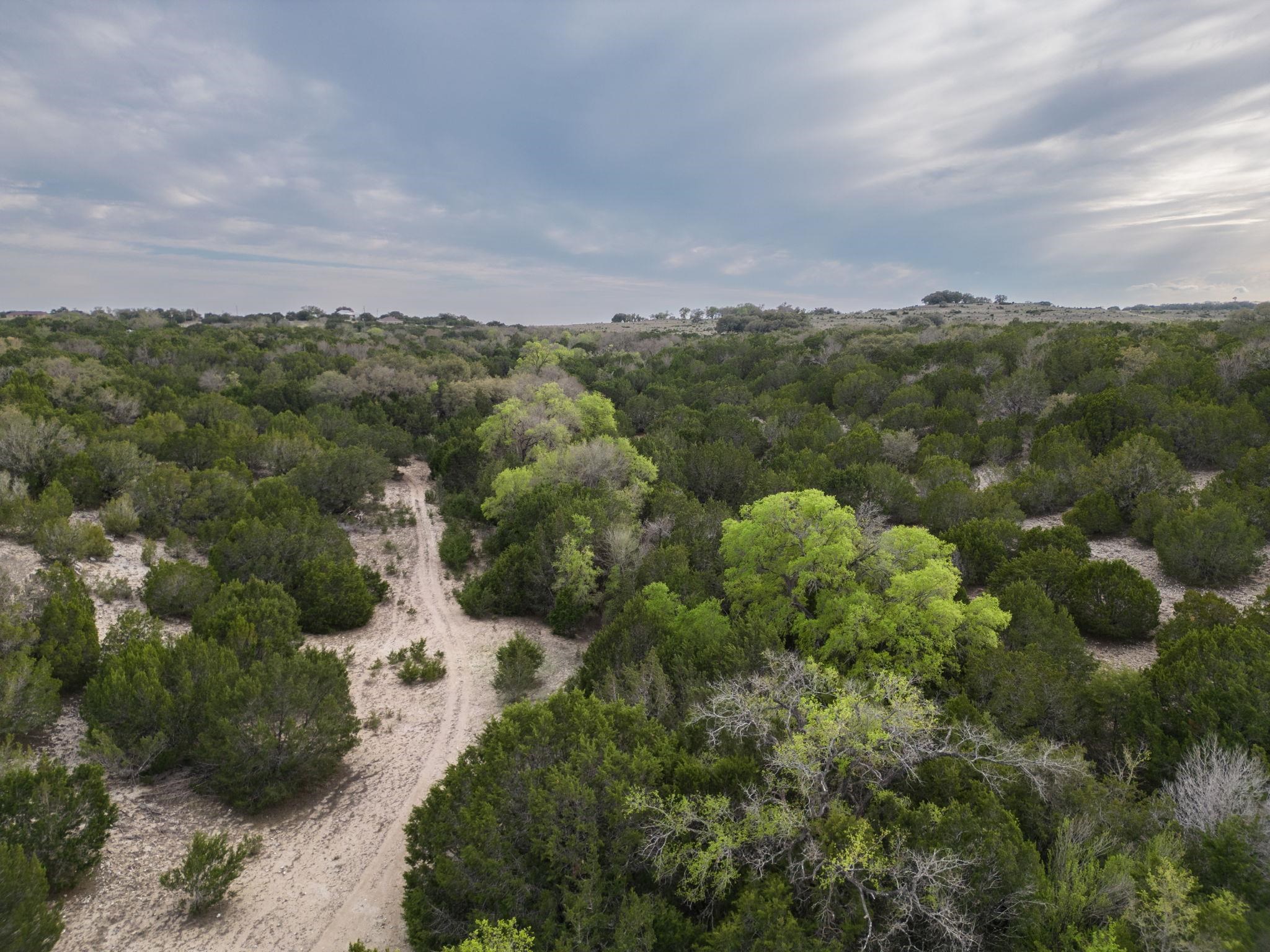 50.44 Acres County Road 3100 Property Photo 11