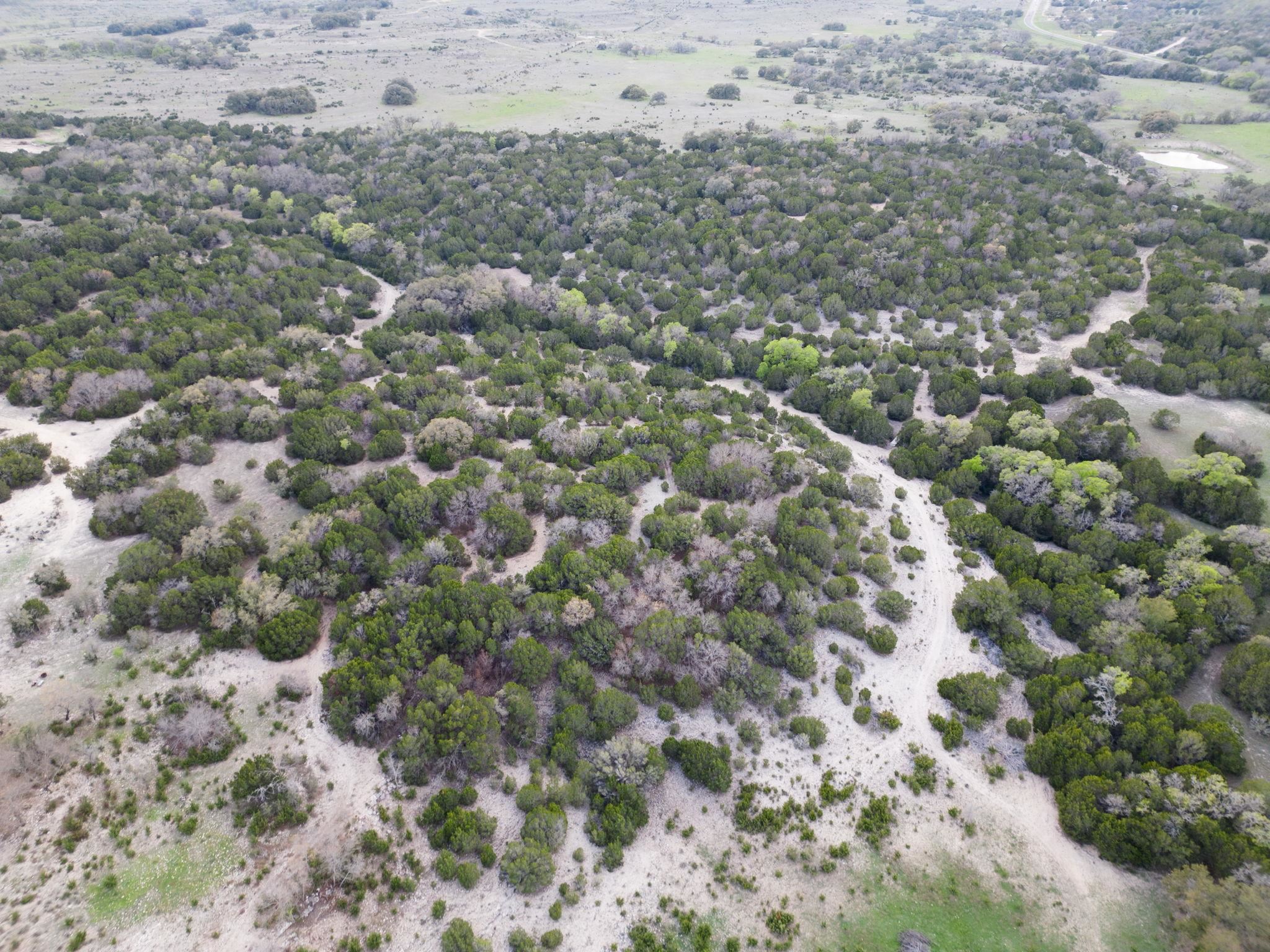 50.44 Acres County Road 3100 Property Photo 18