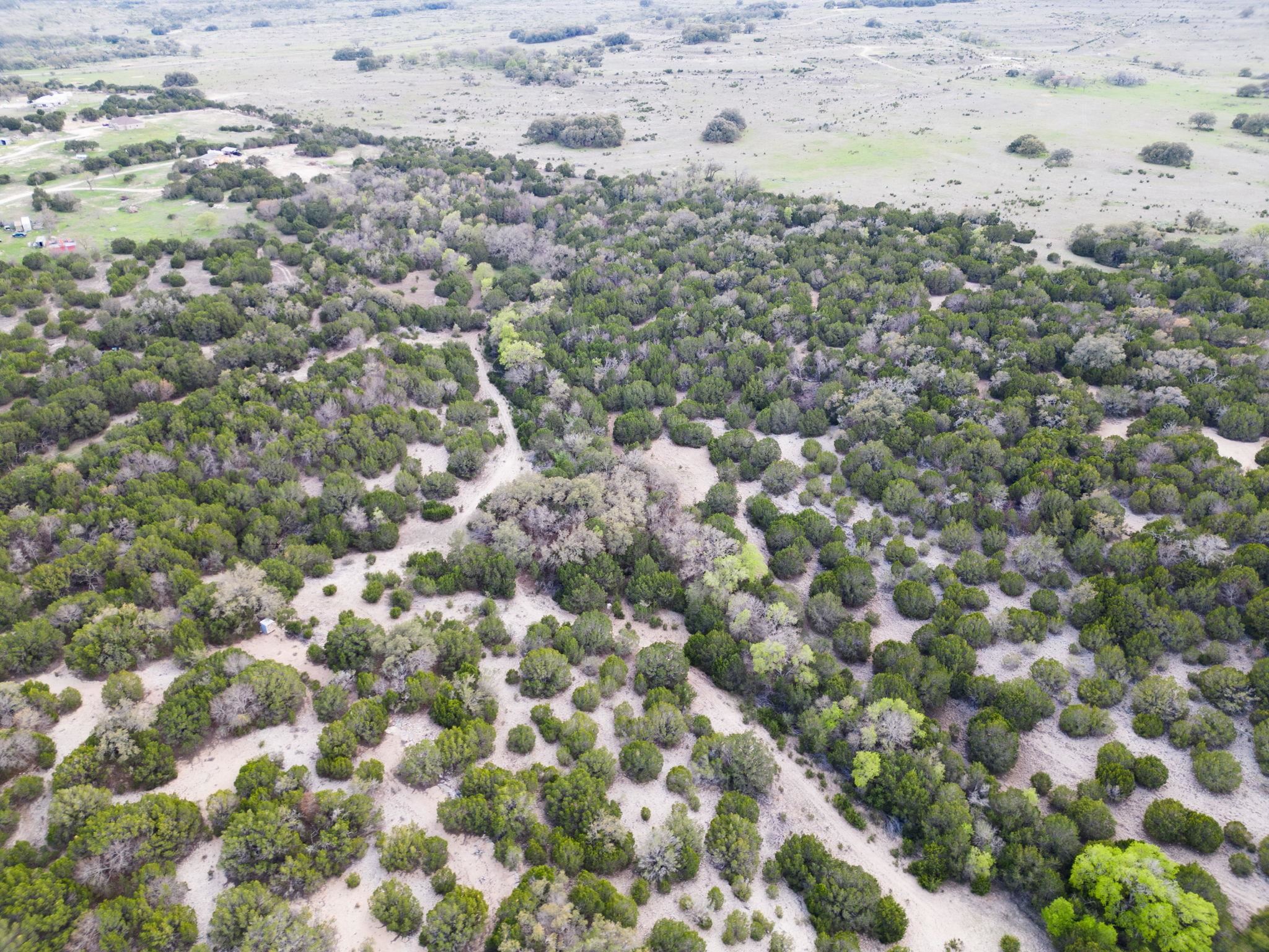 50.44 Acres County Road 3100 Property Photo 21