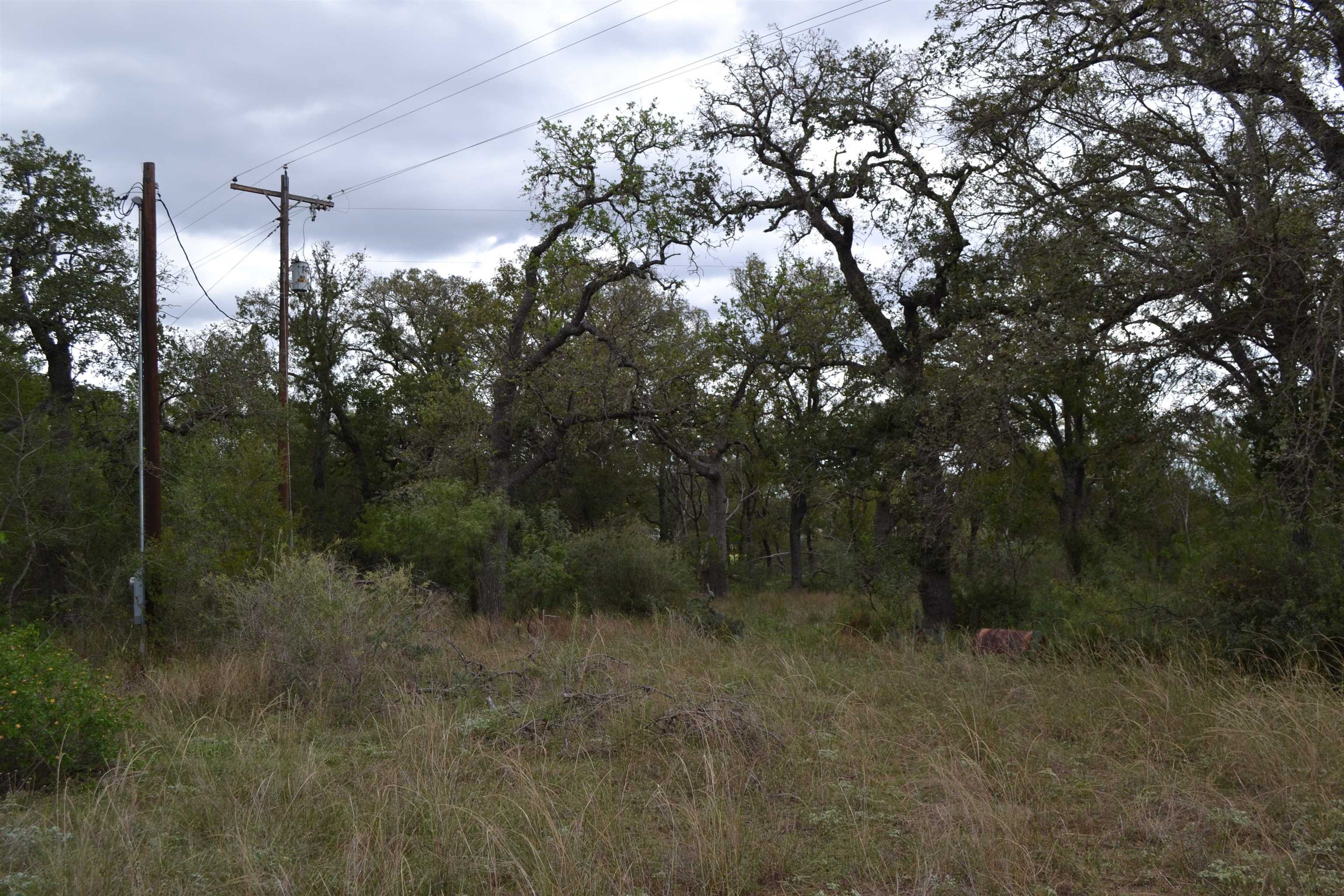0 Ranch Road 2241 Tx Property Photo 11