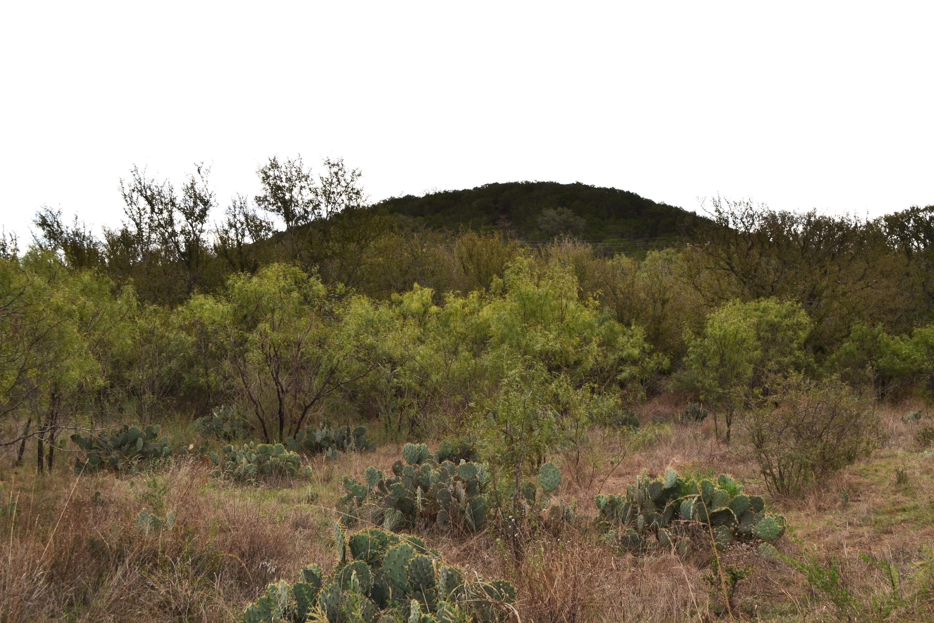 0 Ranch Road 2241 Tx Property Photo 29