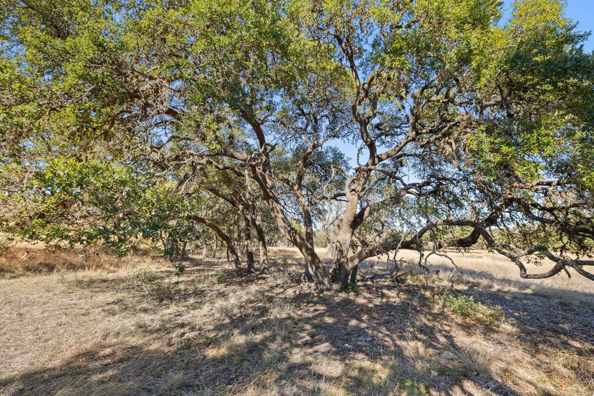 1364 N Walnut Springs Road Property Photo 14