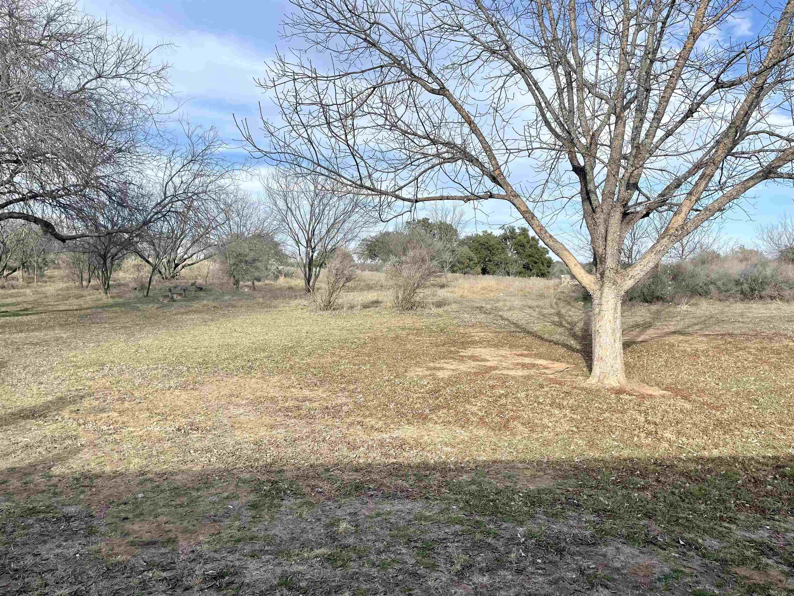 210 Skyline Drive Property Photo 15