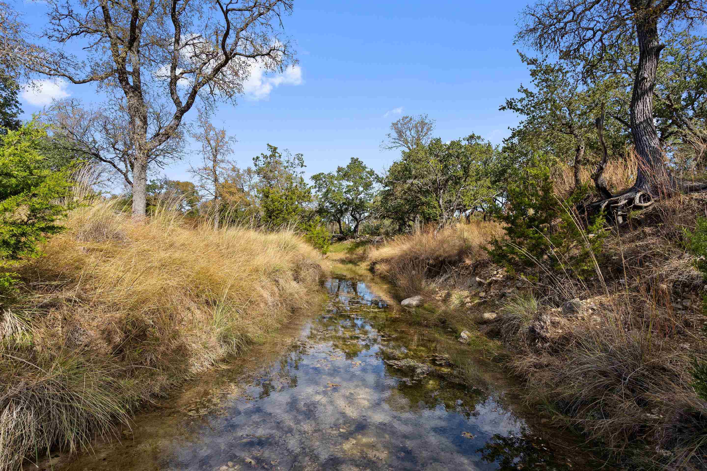 1145 Flat Creek Rd Property Photo 3