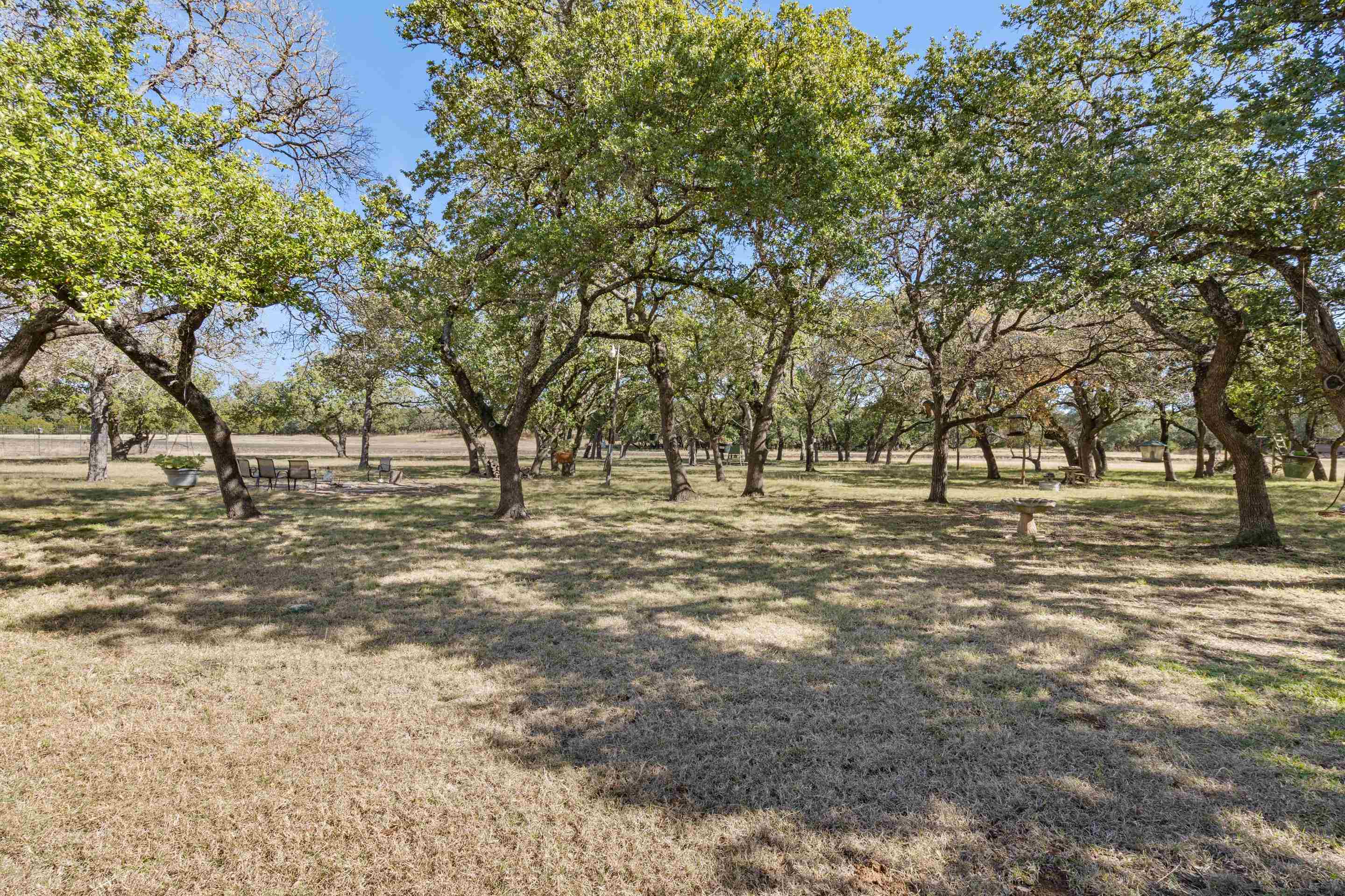 1145 Flat Creek Rd Property Photo 6