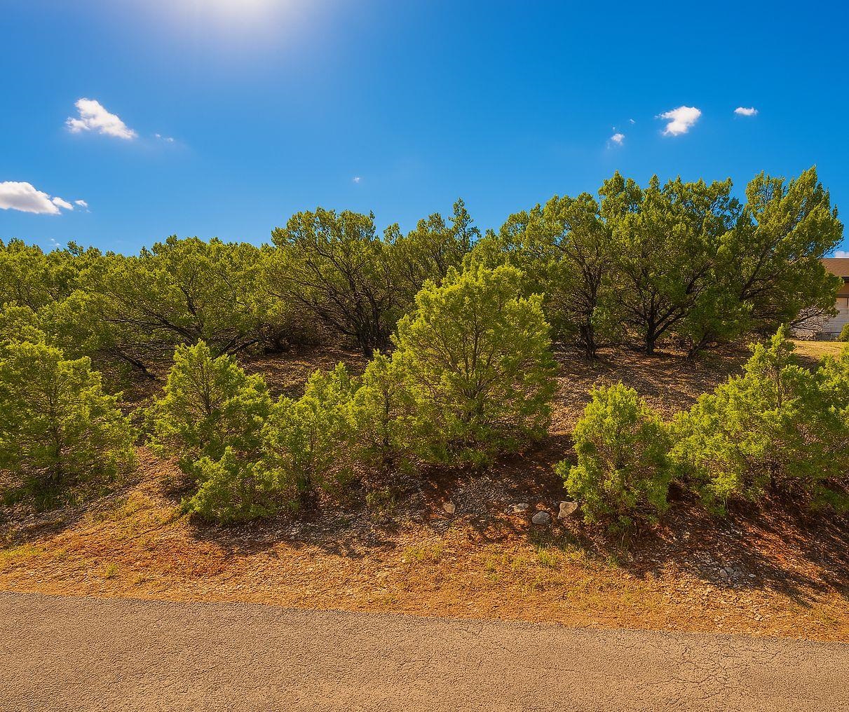 20607 Branding Iron Property Photo 1