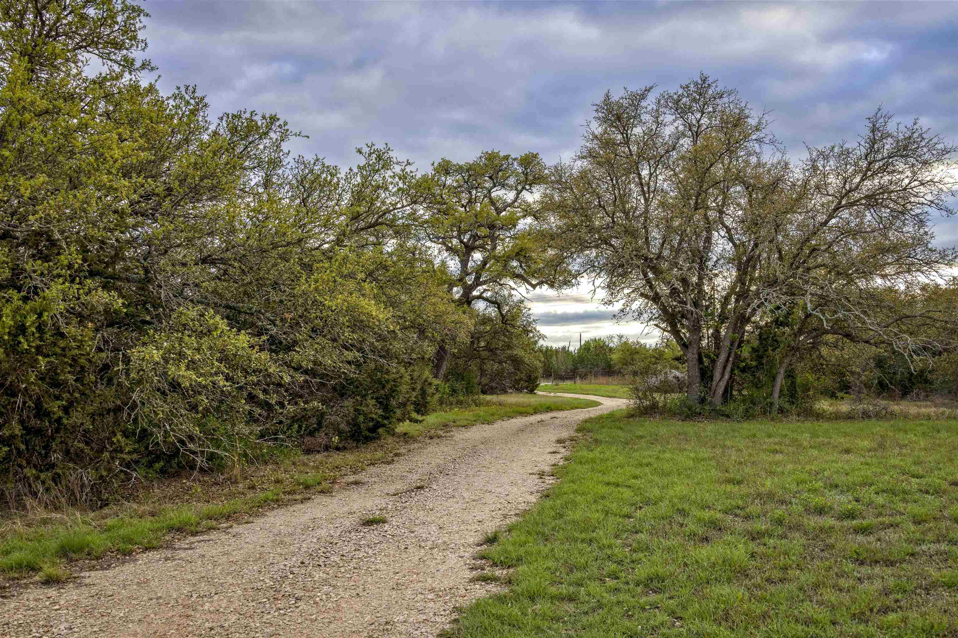 1485 County Road 323 Property Photo 2
