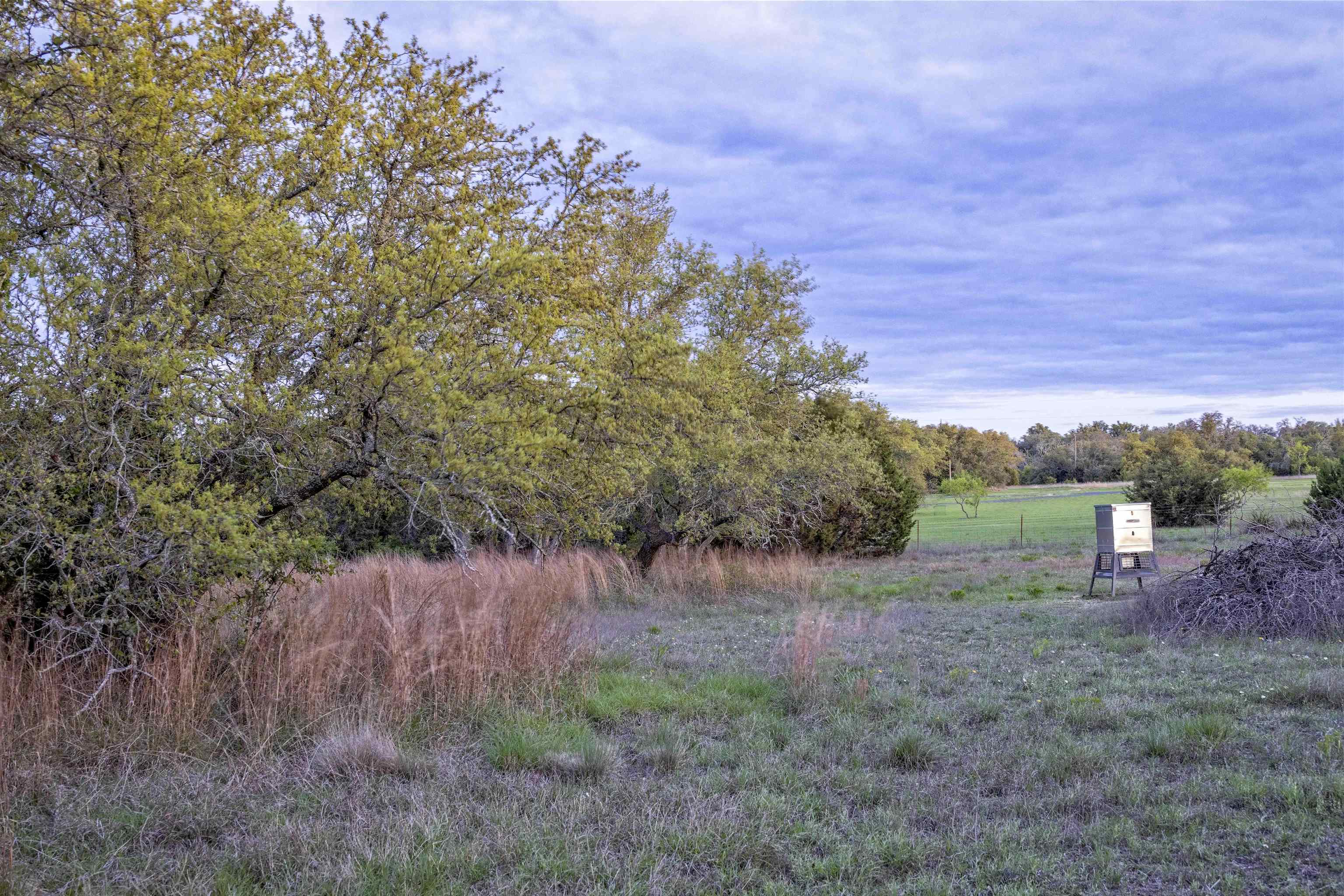 1485 County Road 323 Property Photo 4