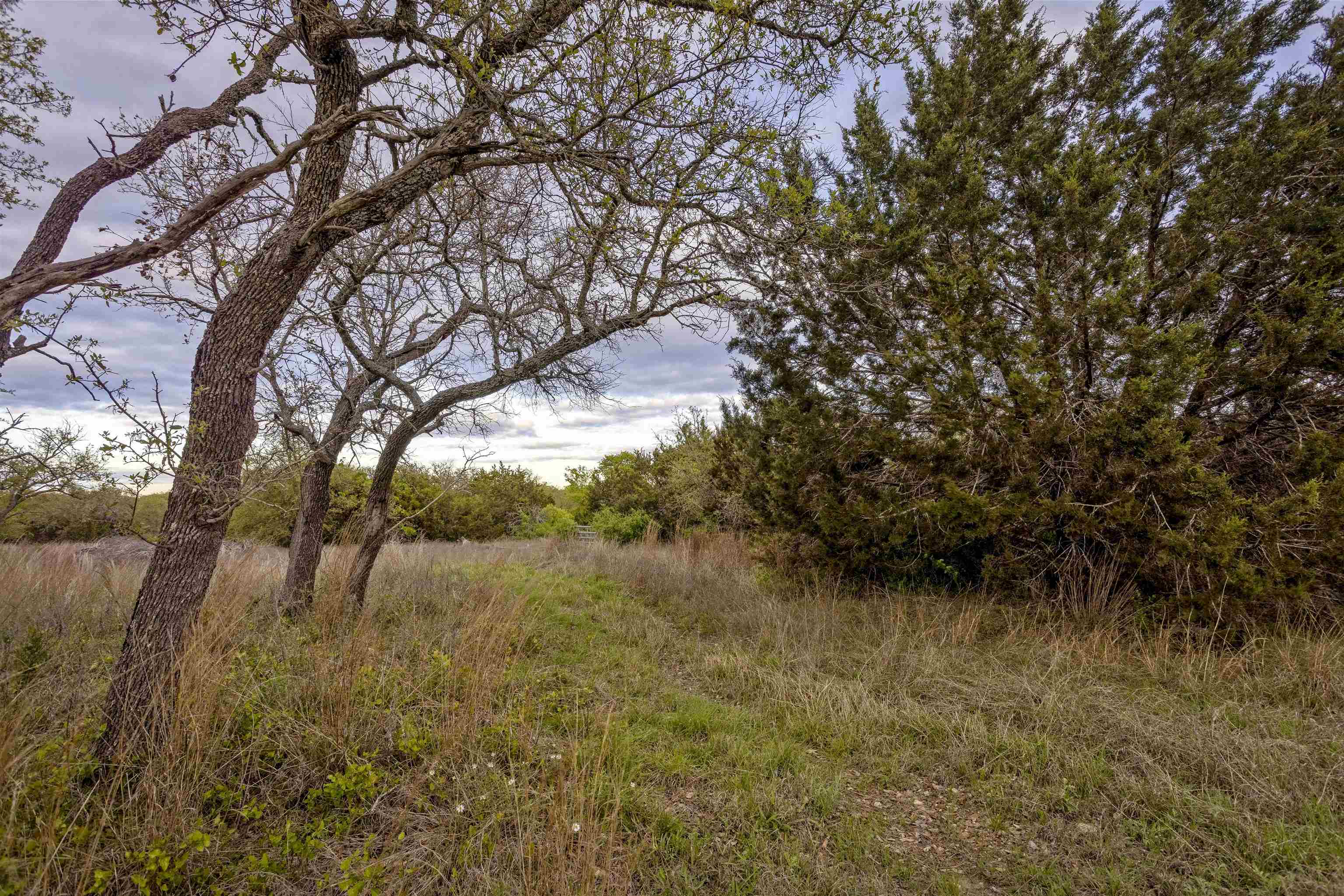 1485 County Road 323 Property Photo 8