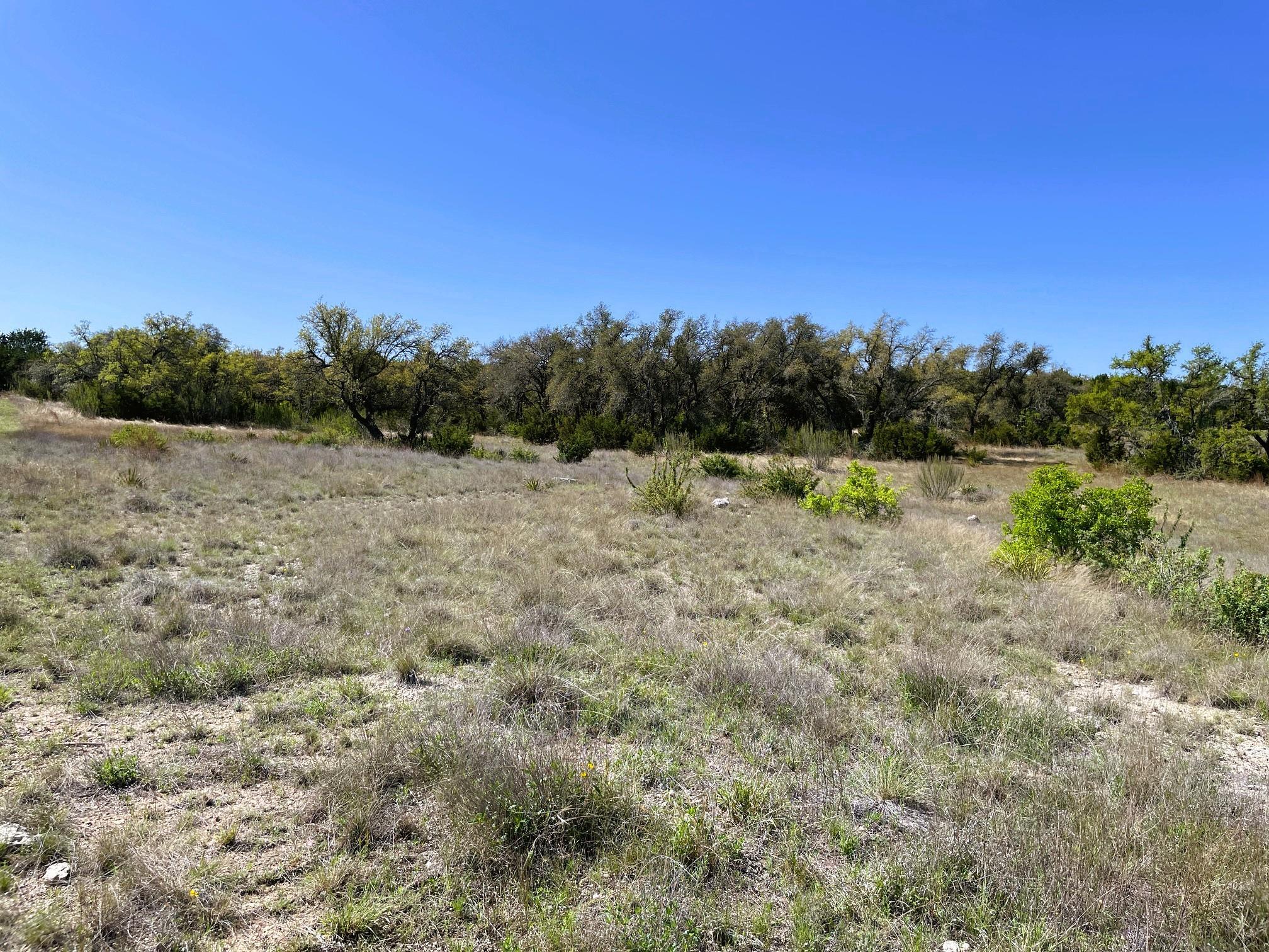 321 Cedar Mountain Drive Property Photo 9