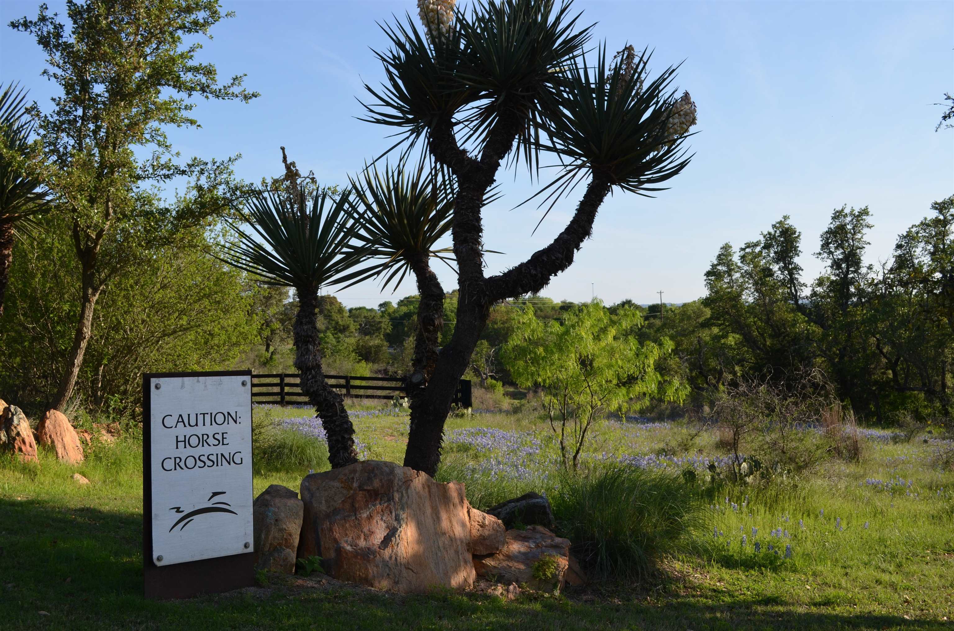 Lot 6 Marianne Trail Property Photo 23