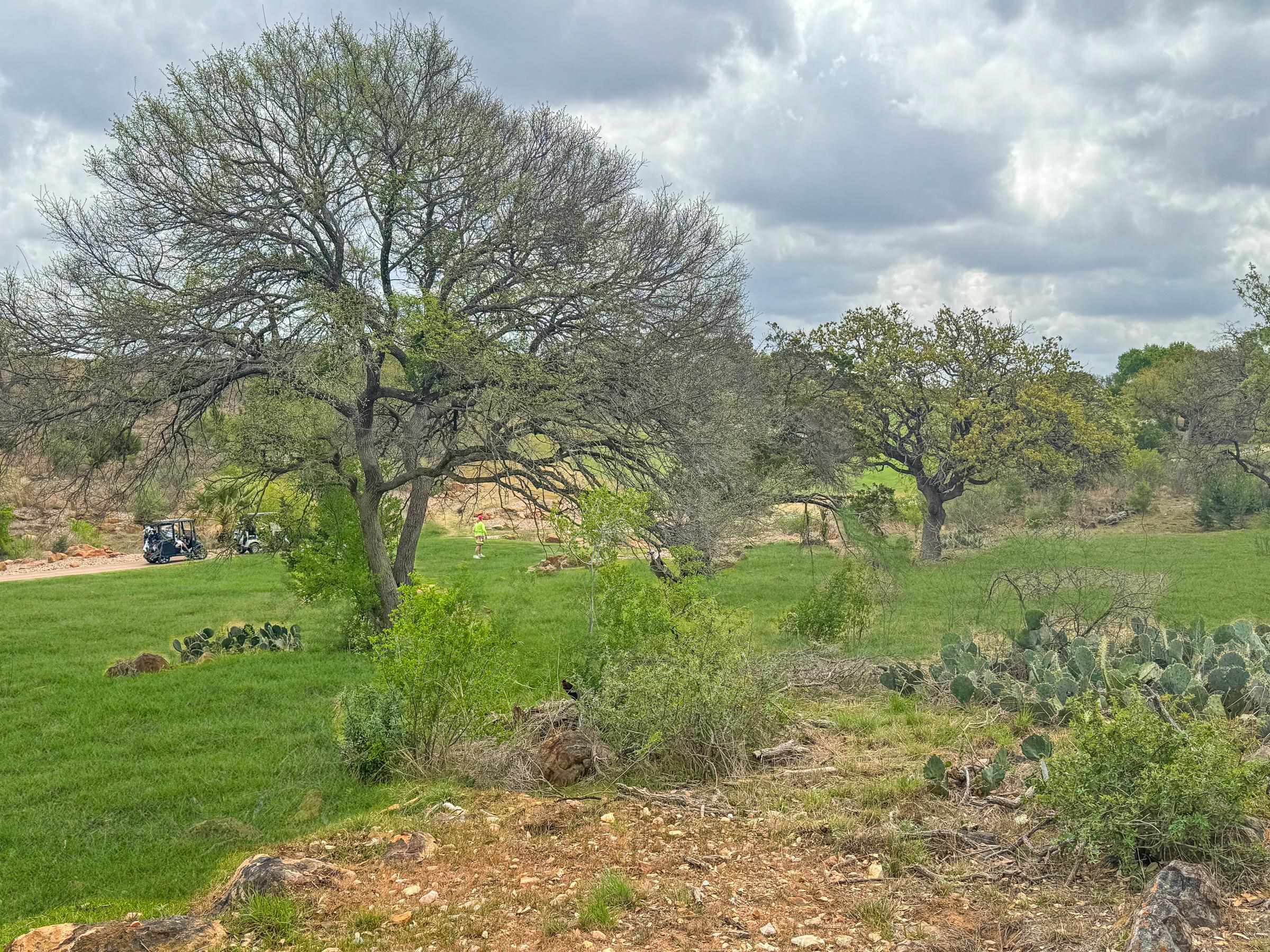 Lot W11145-a Sapphire Property Photo 11