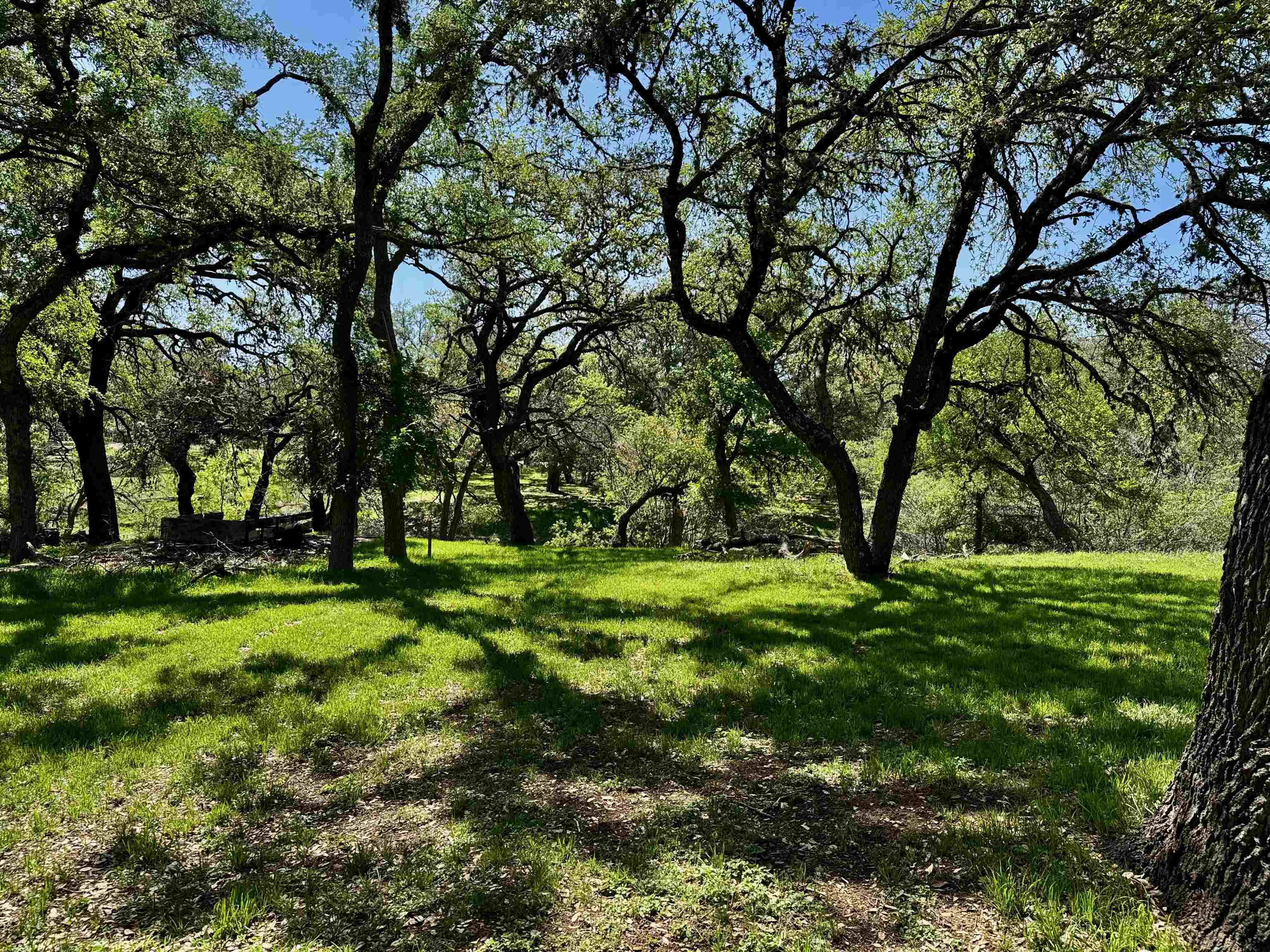 00 Cedar Trail Property Photo 1