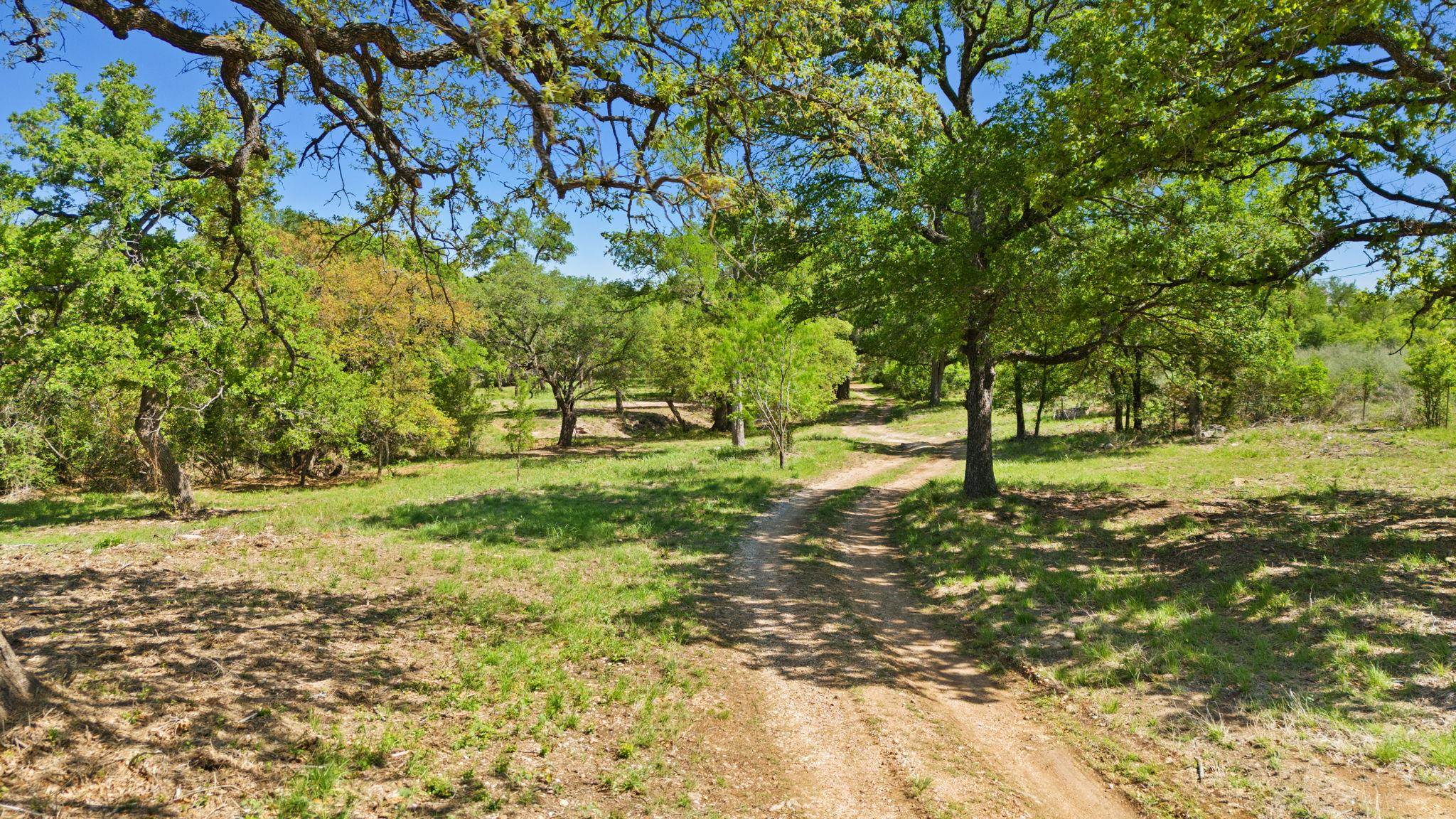 550 Jackson Road Property Photo 4