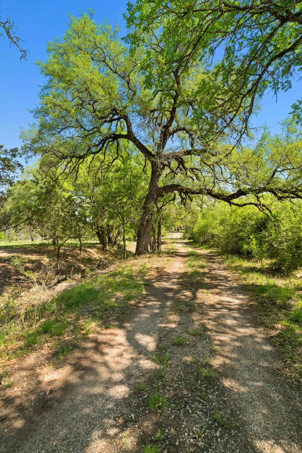 550 Jackson Road Property Photo 9