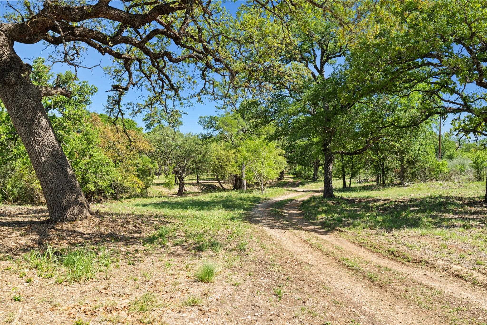 550 Jackson Road Property Photo 10