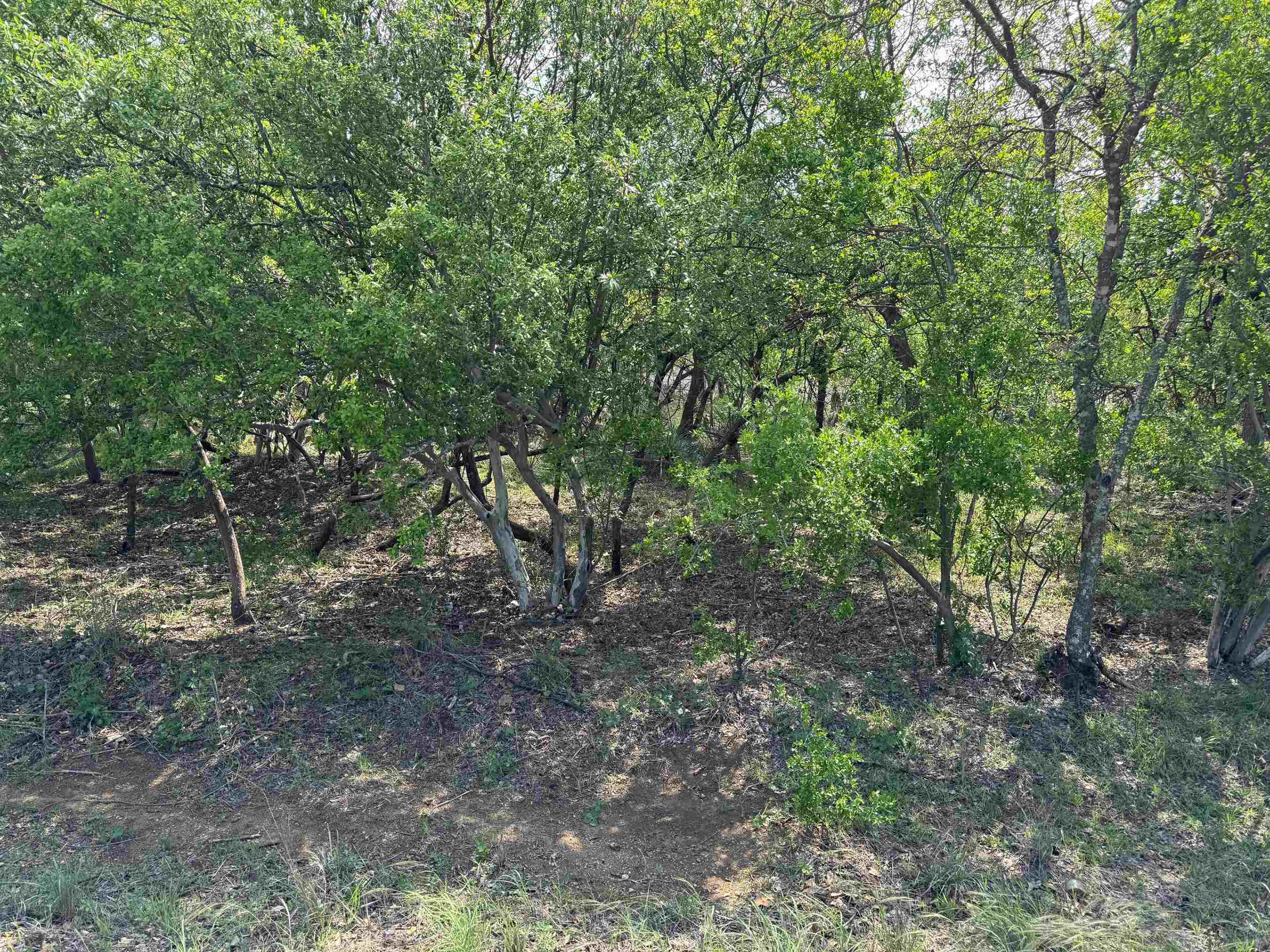 Lots 58 & 59 W Castleshoals Drive Property Photo 1