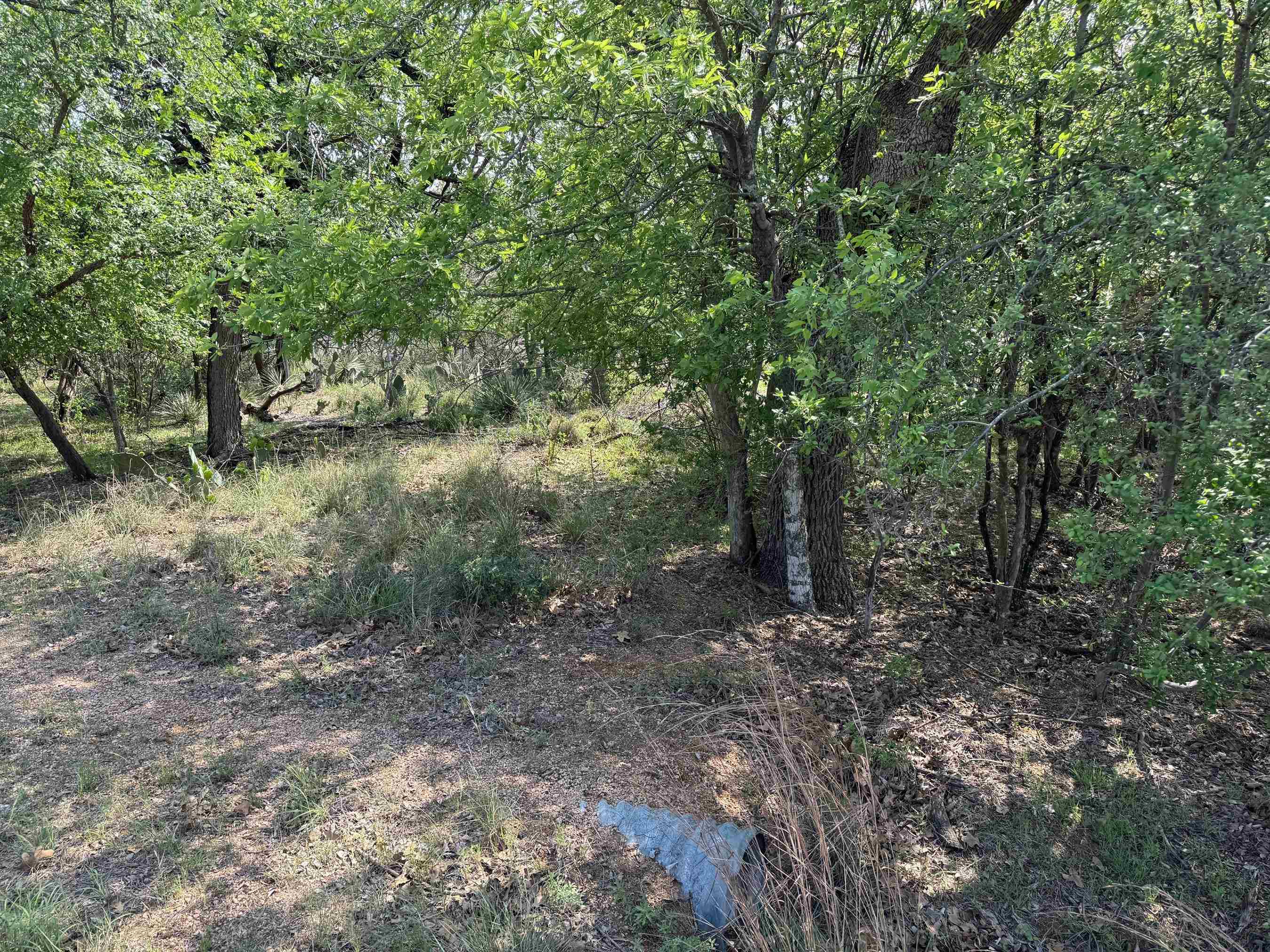 Lots 58 & 59 W Castleshoals Drive Property Photo 2