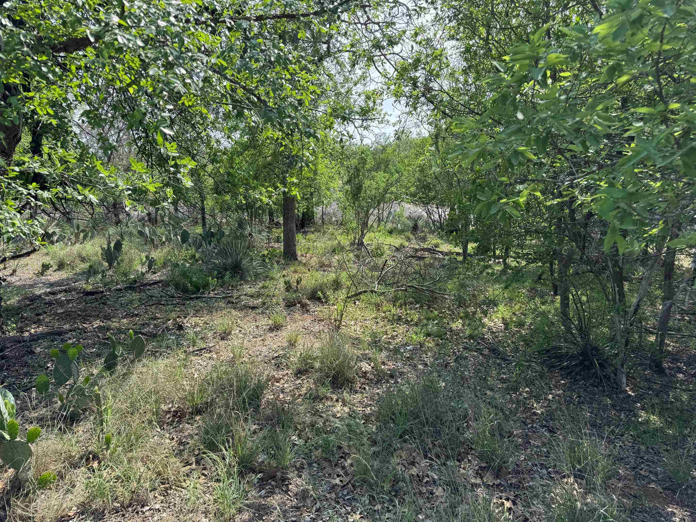 Lots 58 & 59 W Castleshoals Drive Property Photo 3