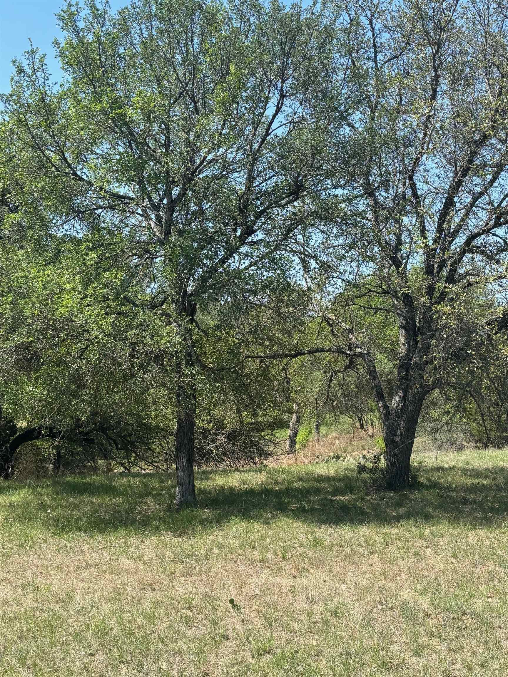 Lot W19030 Moon Ray Property Photo 1