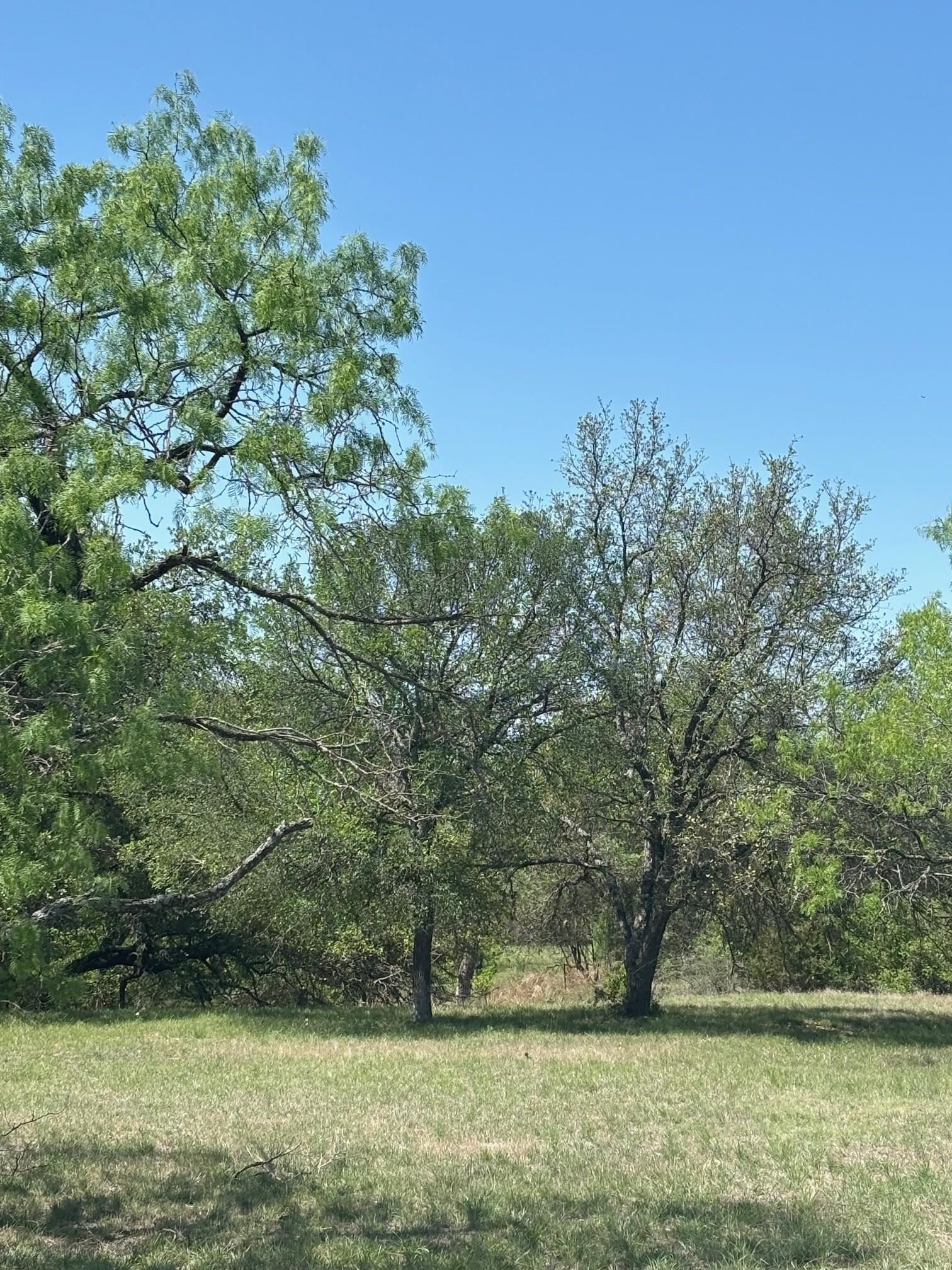 Lot W19030 Moon Ray Property Photo 5
