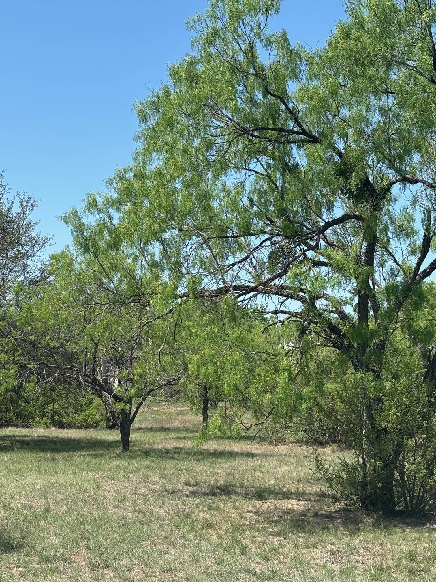 Lot W19030 Moon Ray Property Photo 6