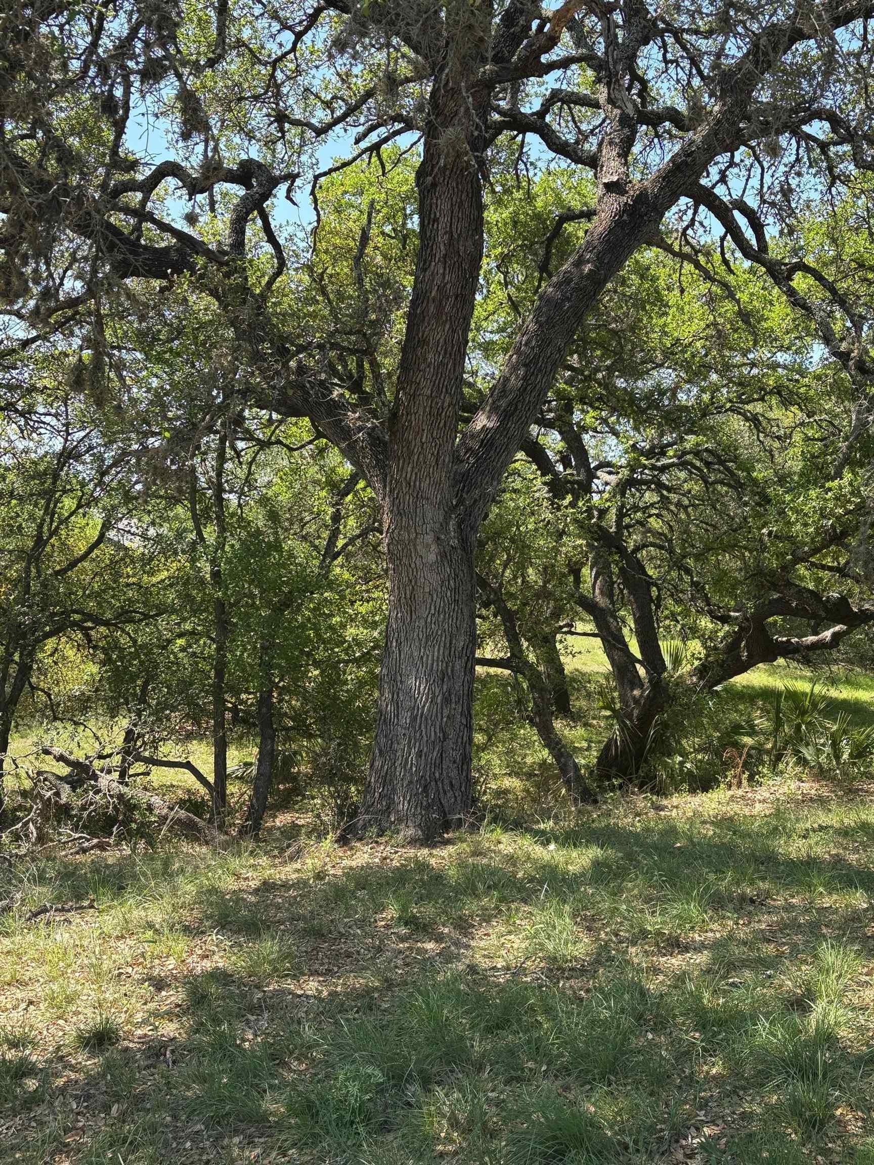 Lot W19030 Moon Ray Property Photo 8
