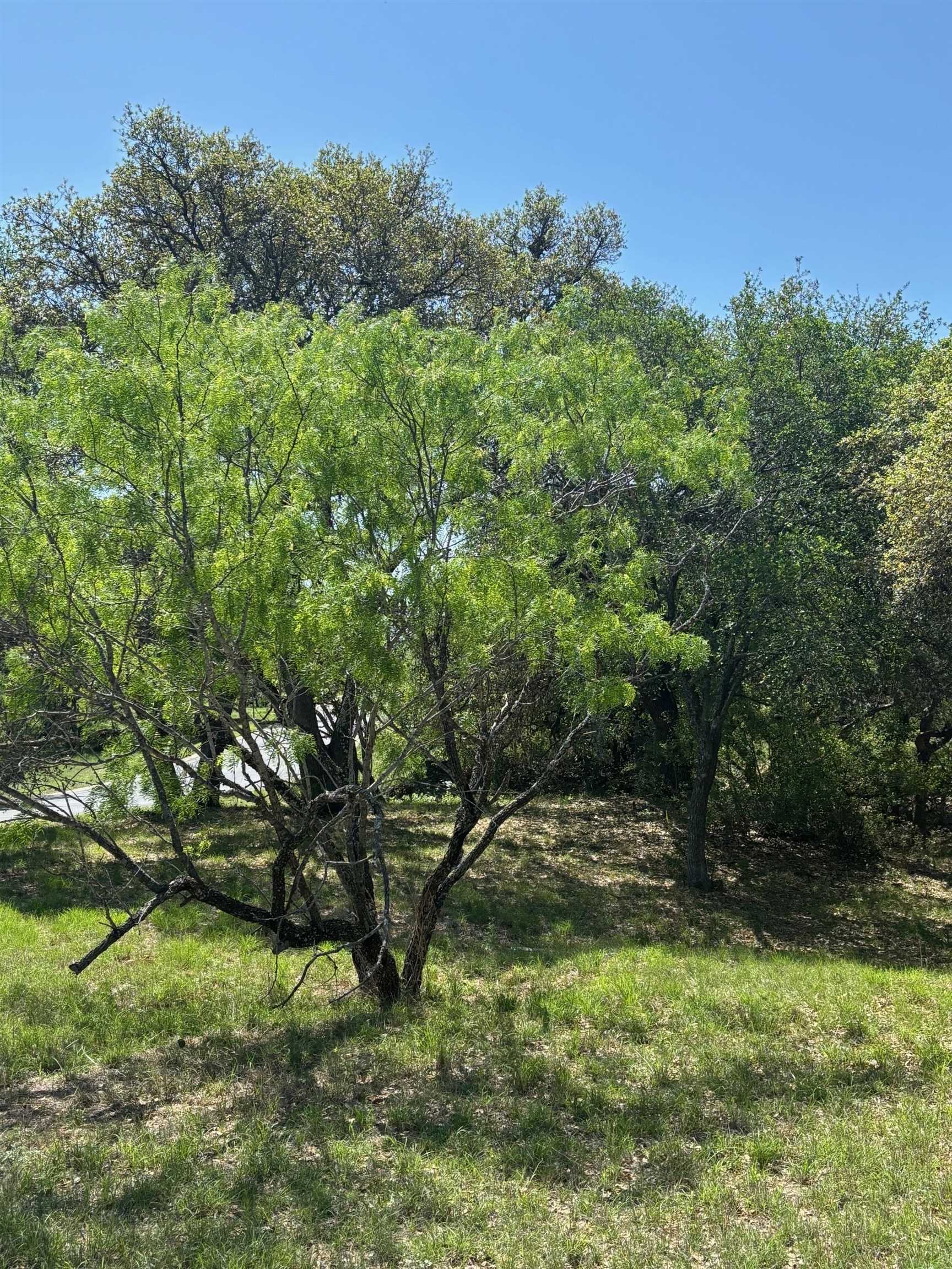 Lot W19030 Moon Ray Property Photo 10