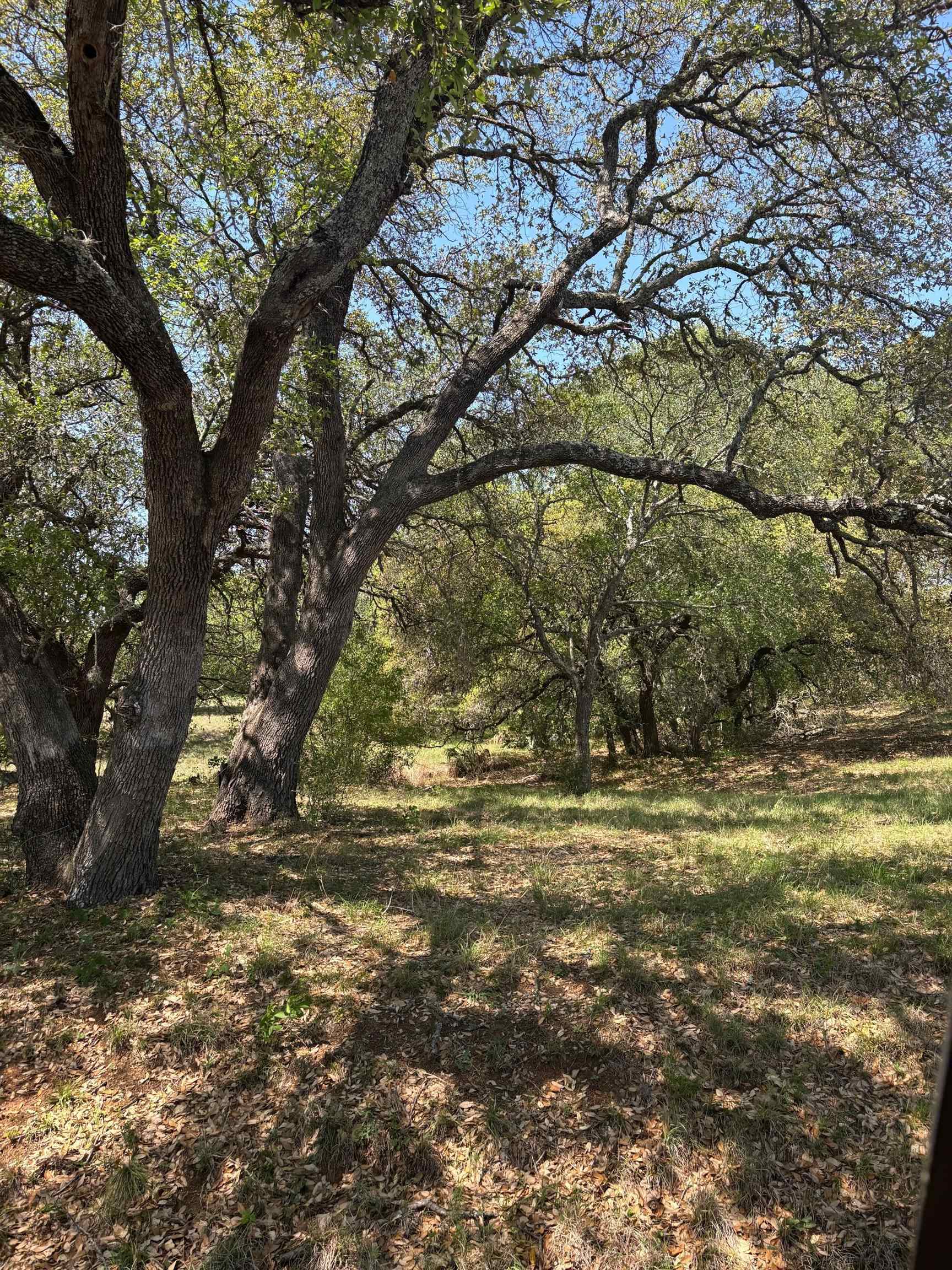 Lot W19030 Moon Ray Property Photo 12