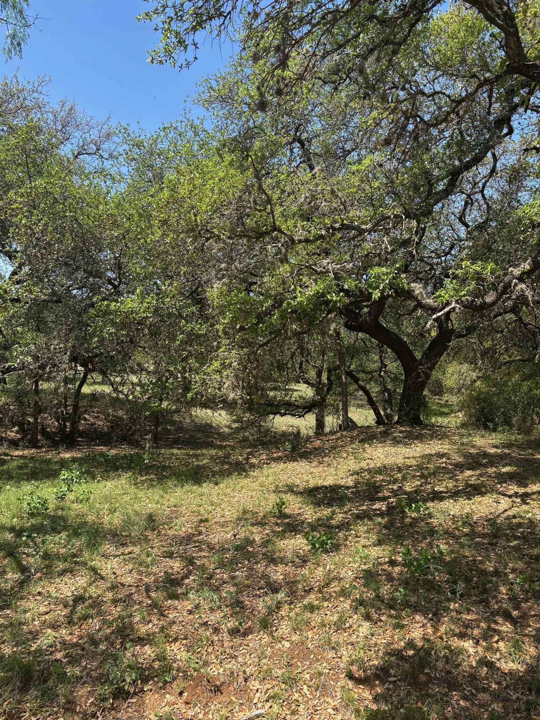 Lot W19030 Moon Ray Property Photo 14