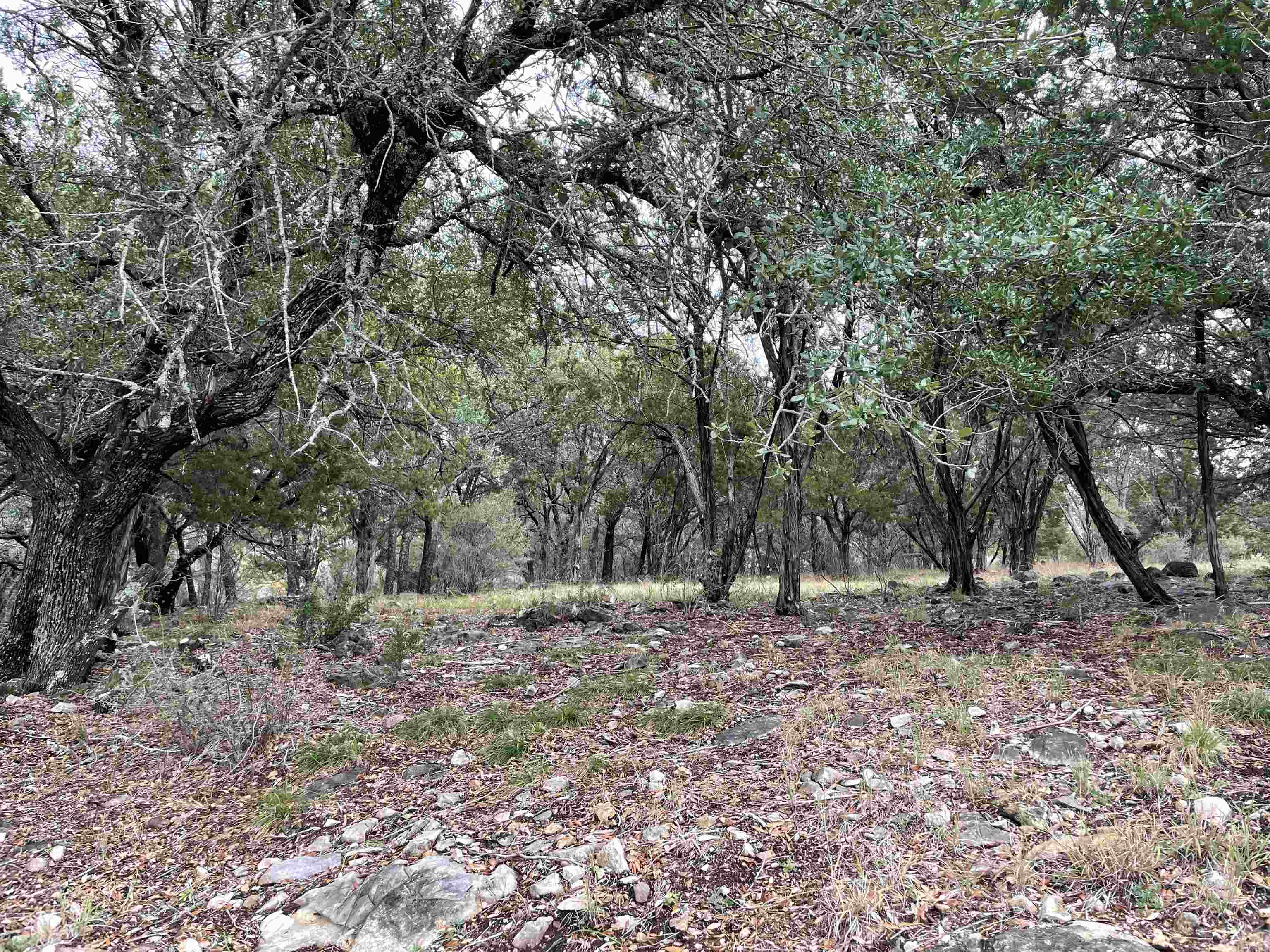 403 Quick Draw Property Photo