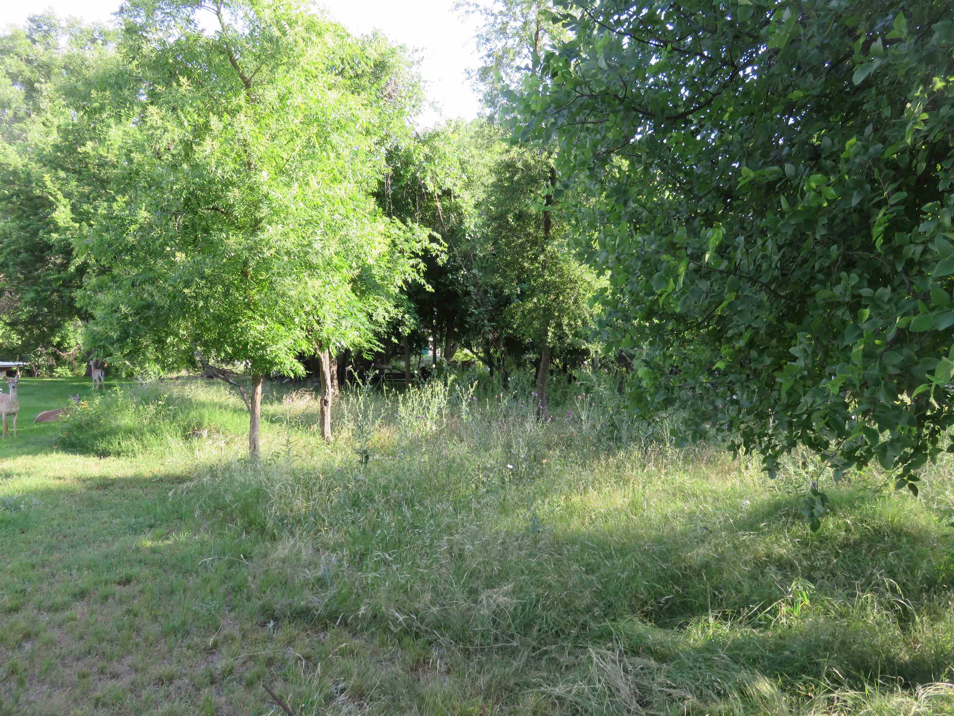 Lot 145a Lakeview Property Photo 2