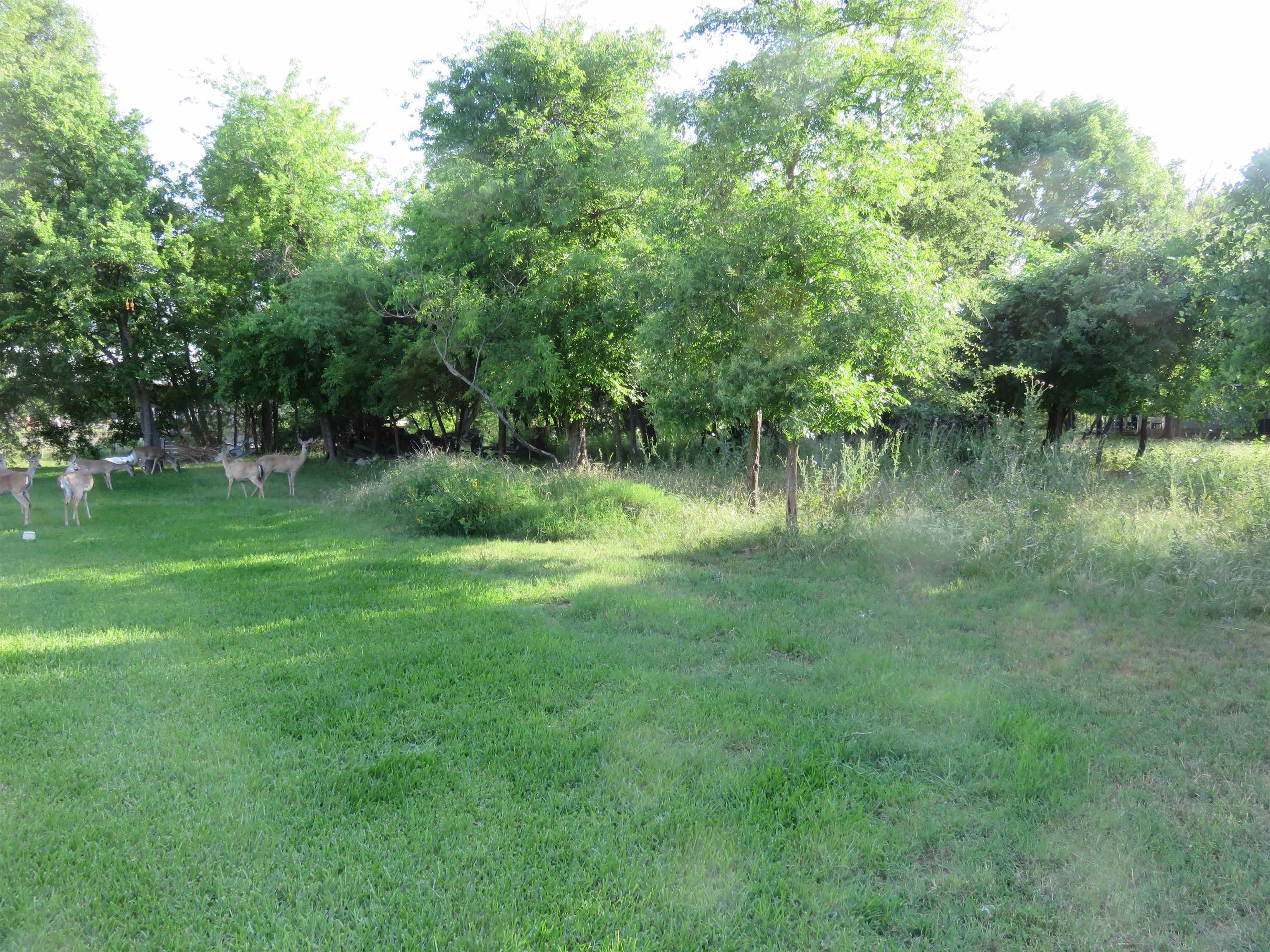 Lot 145a Lakeview Property Photo 8