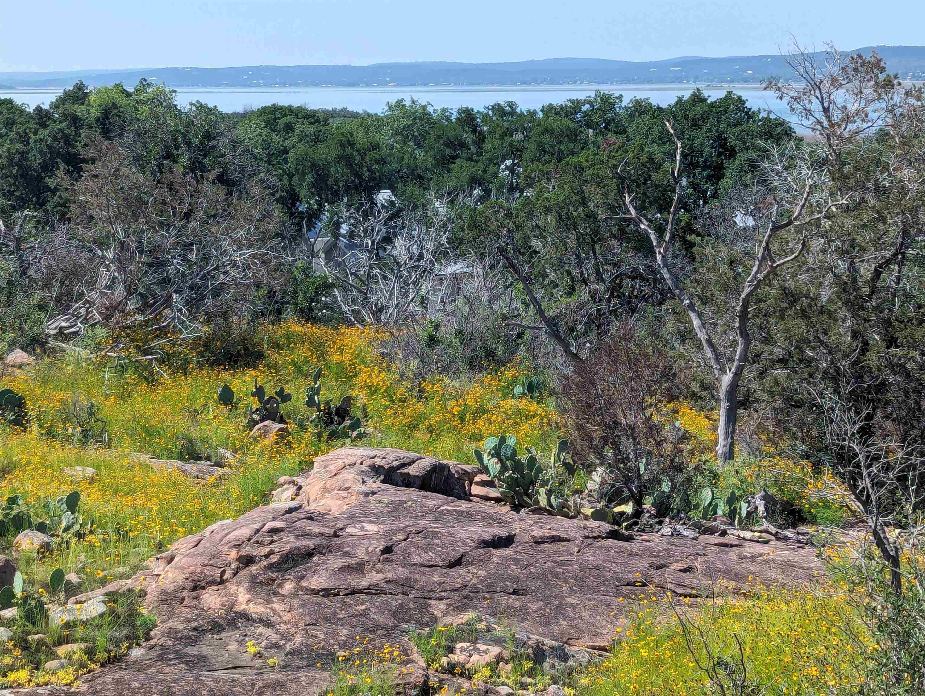 Xxxx Peninsula Drive Property Photo 9