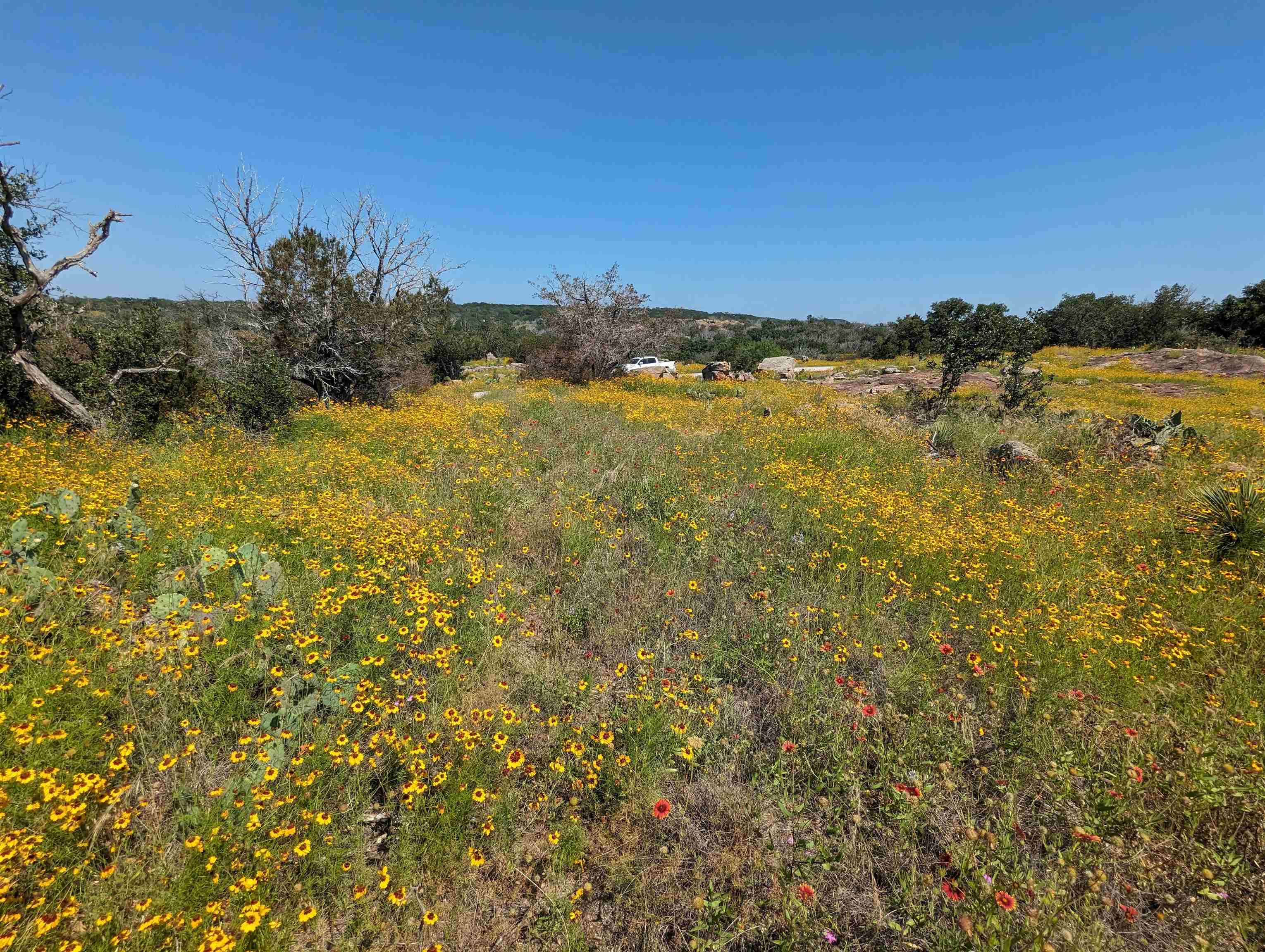 Xxxx Peninsula Drive Property Photo 15