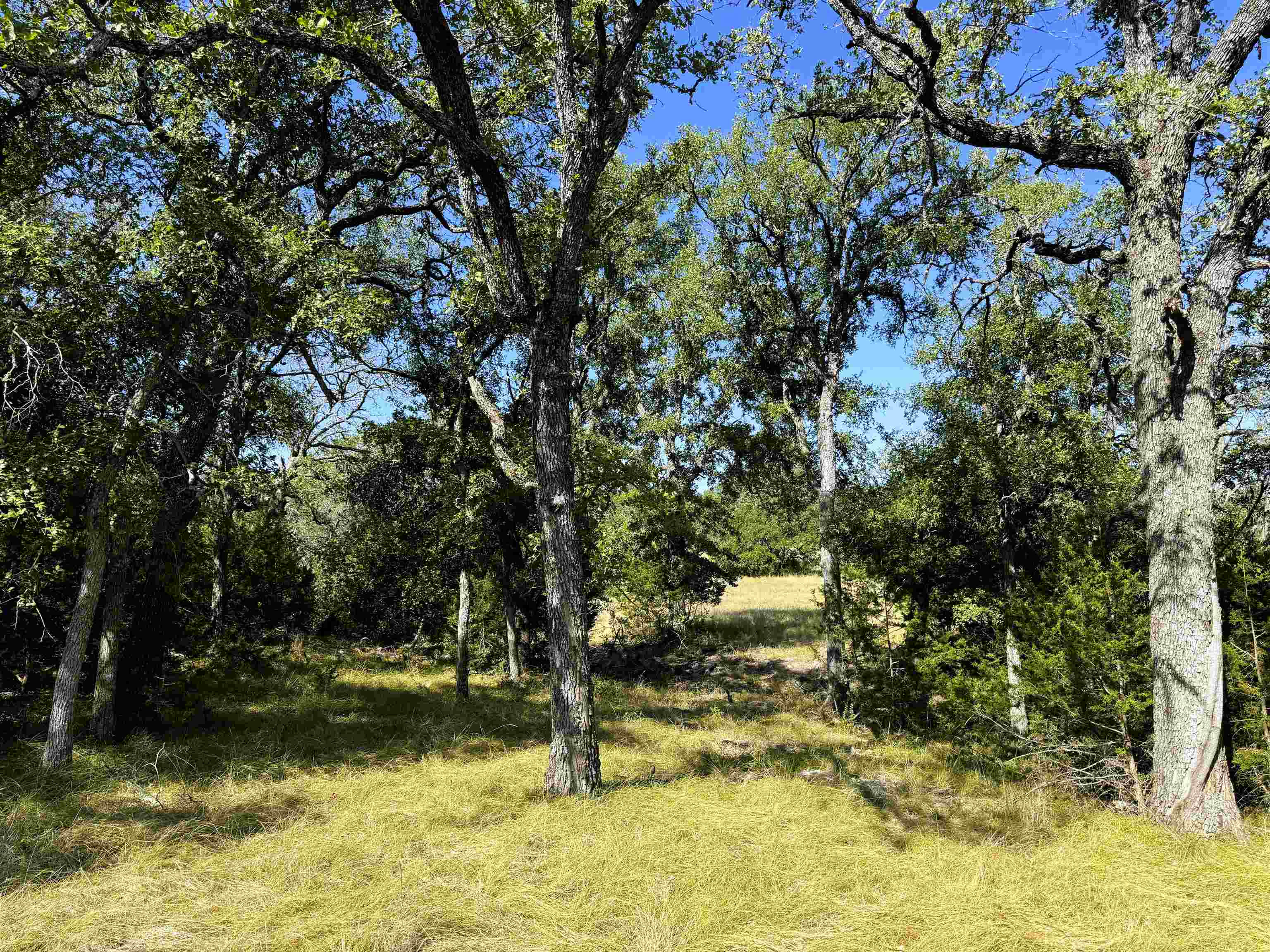 Rocky Hollow Lot 90 Property Photo 4