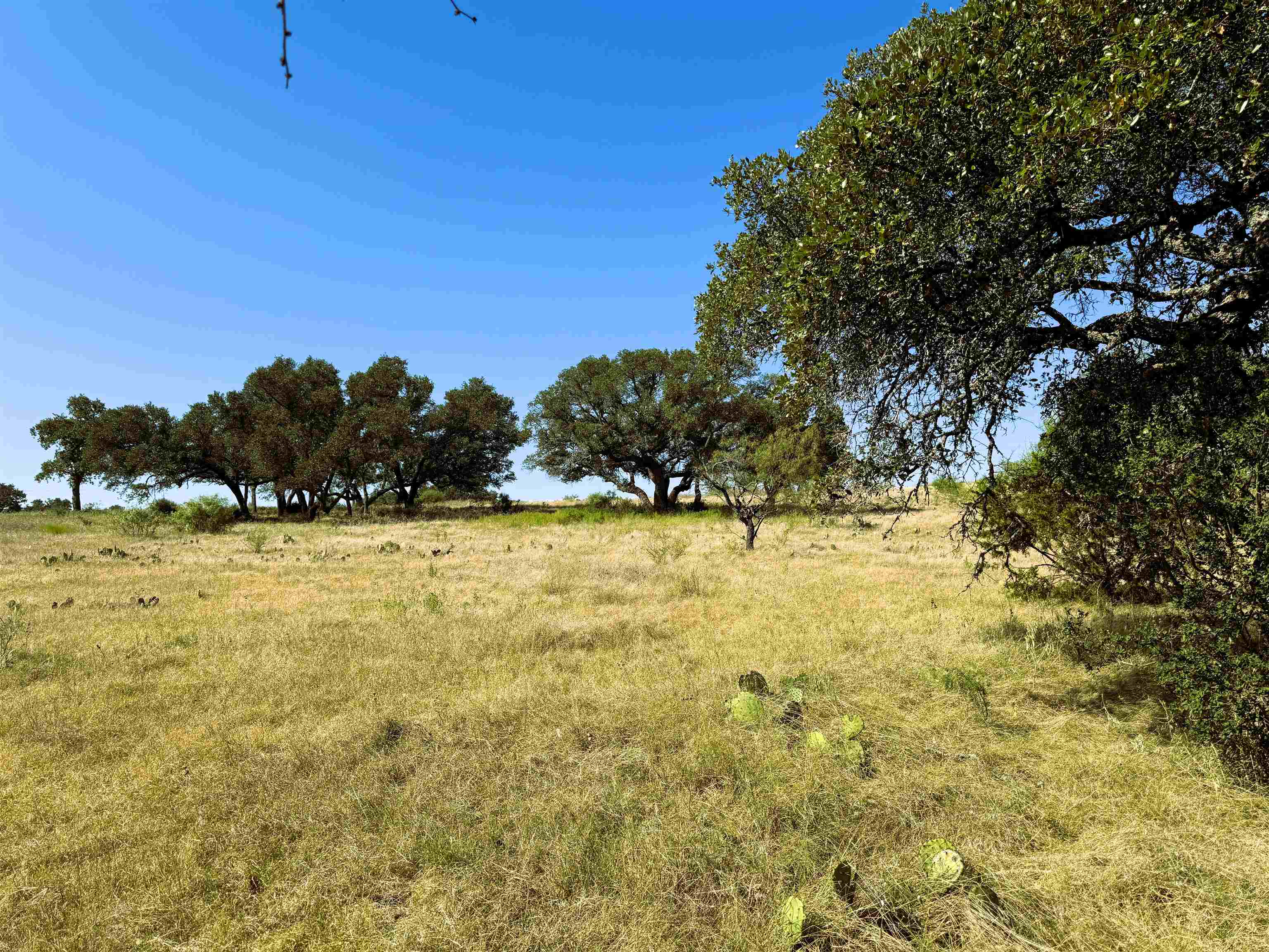 Rocky Hollow Lot 90 Property Photo 5