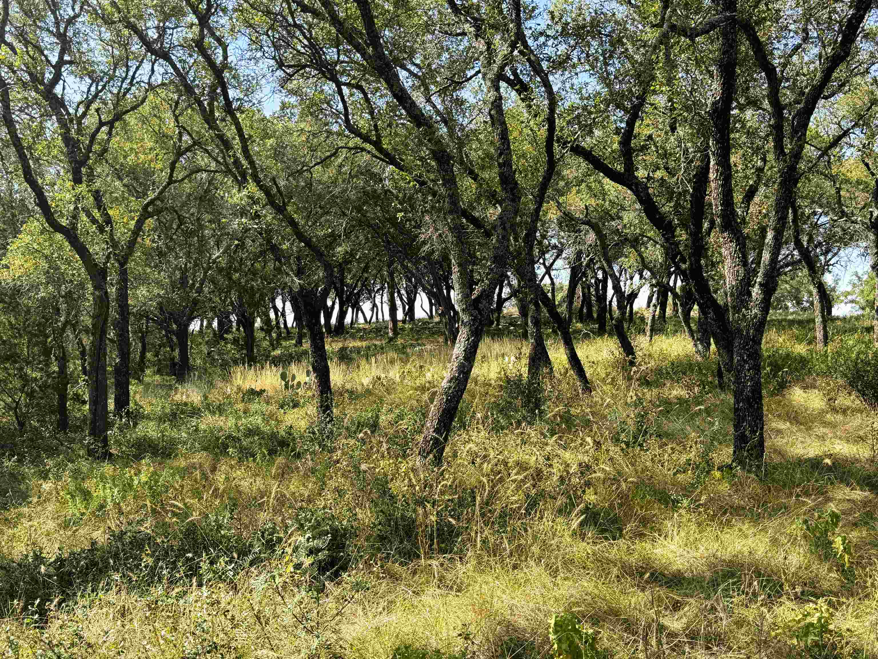 Rocky Hollow Lot 90 Property Photo 6