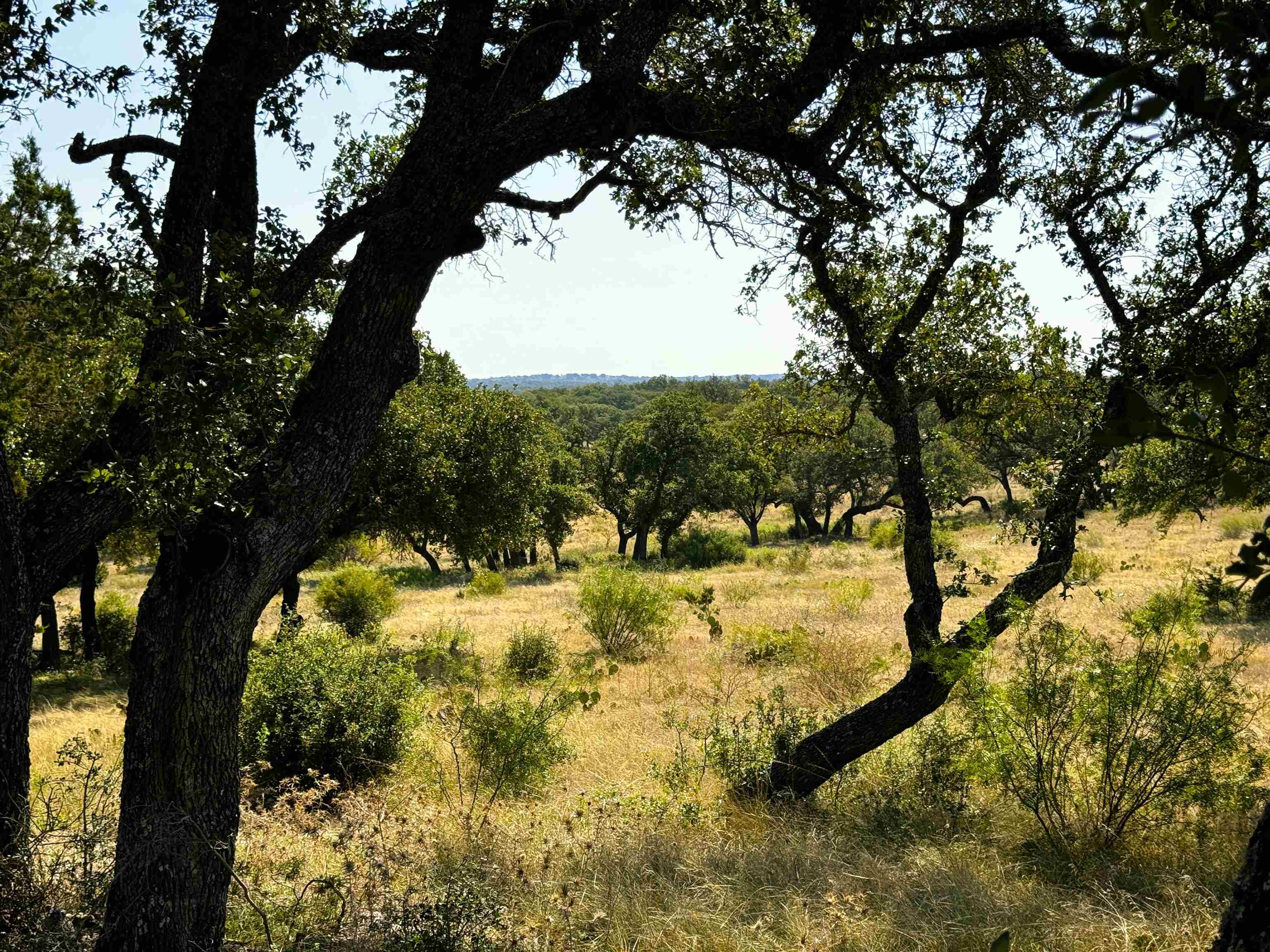 Rocky Hollow Lot 90 Property Photo 8